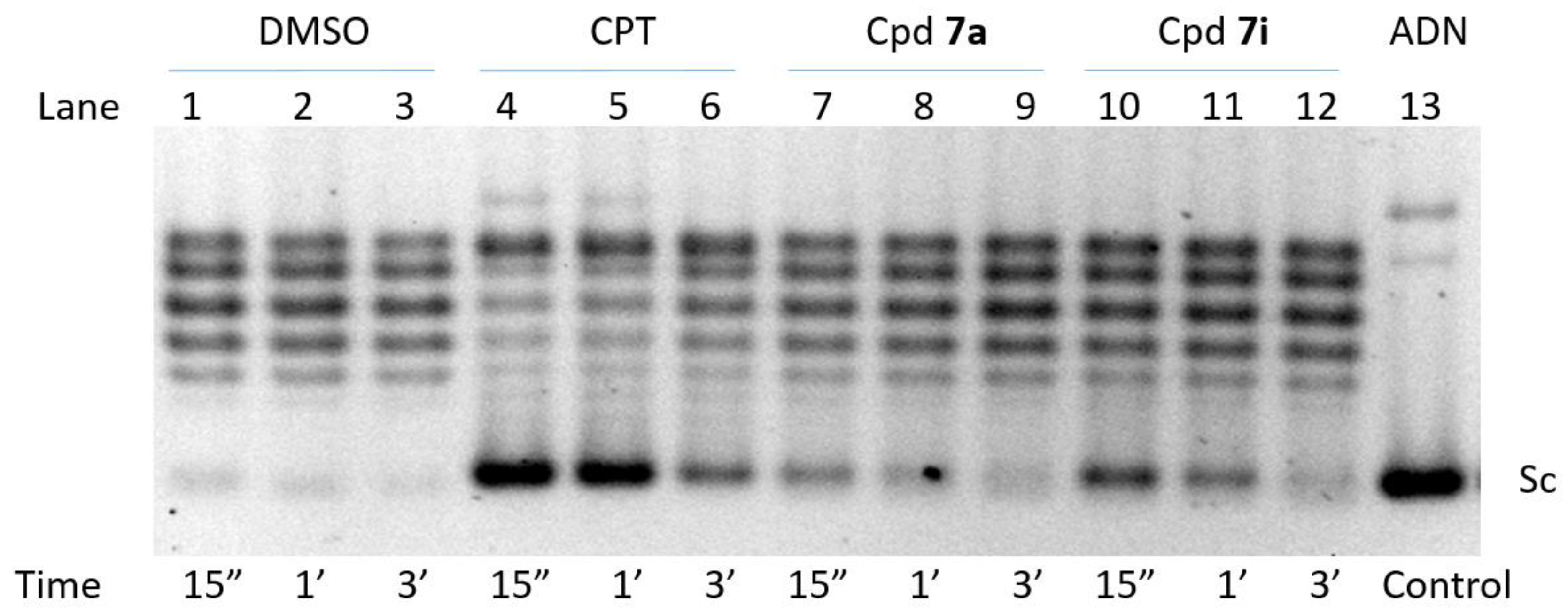 Pharmaceuticals 14 00784 g002 Pharmaceuticals 14 00784 g002