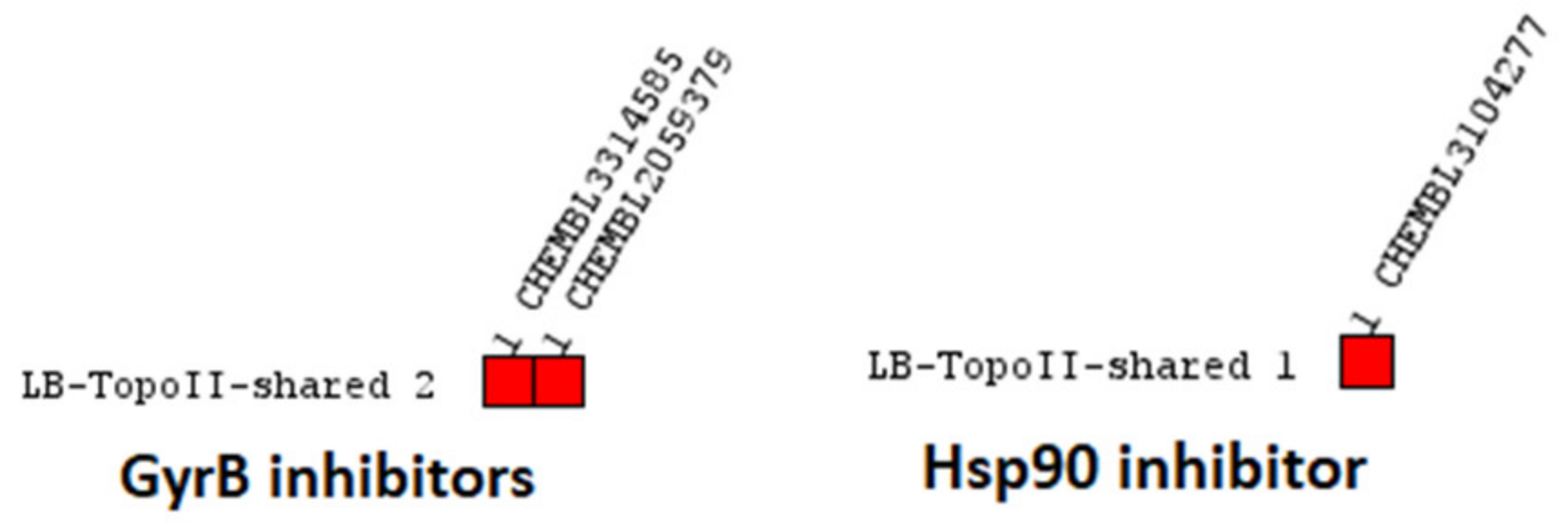 Pharmaceuticals 14 00789 g014