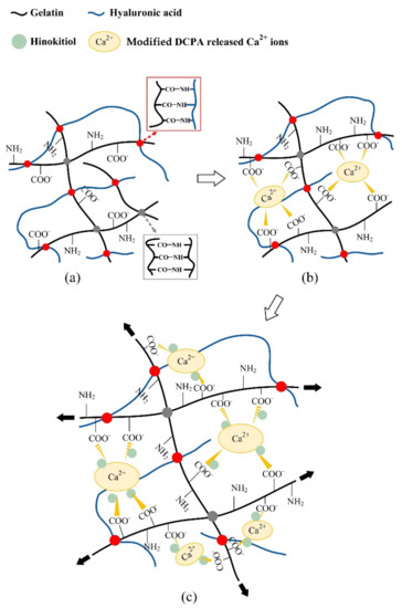 Effects of Hinokitiol and Dicalcium Phosphate on the
