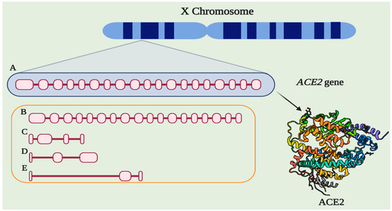 Pharmaceuticals 14 00805 g001 550