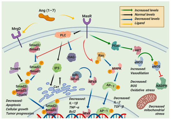 Pharmaceuticals 14 00805 g004 550