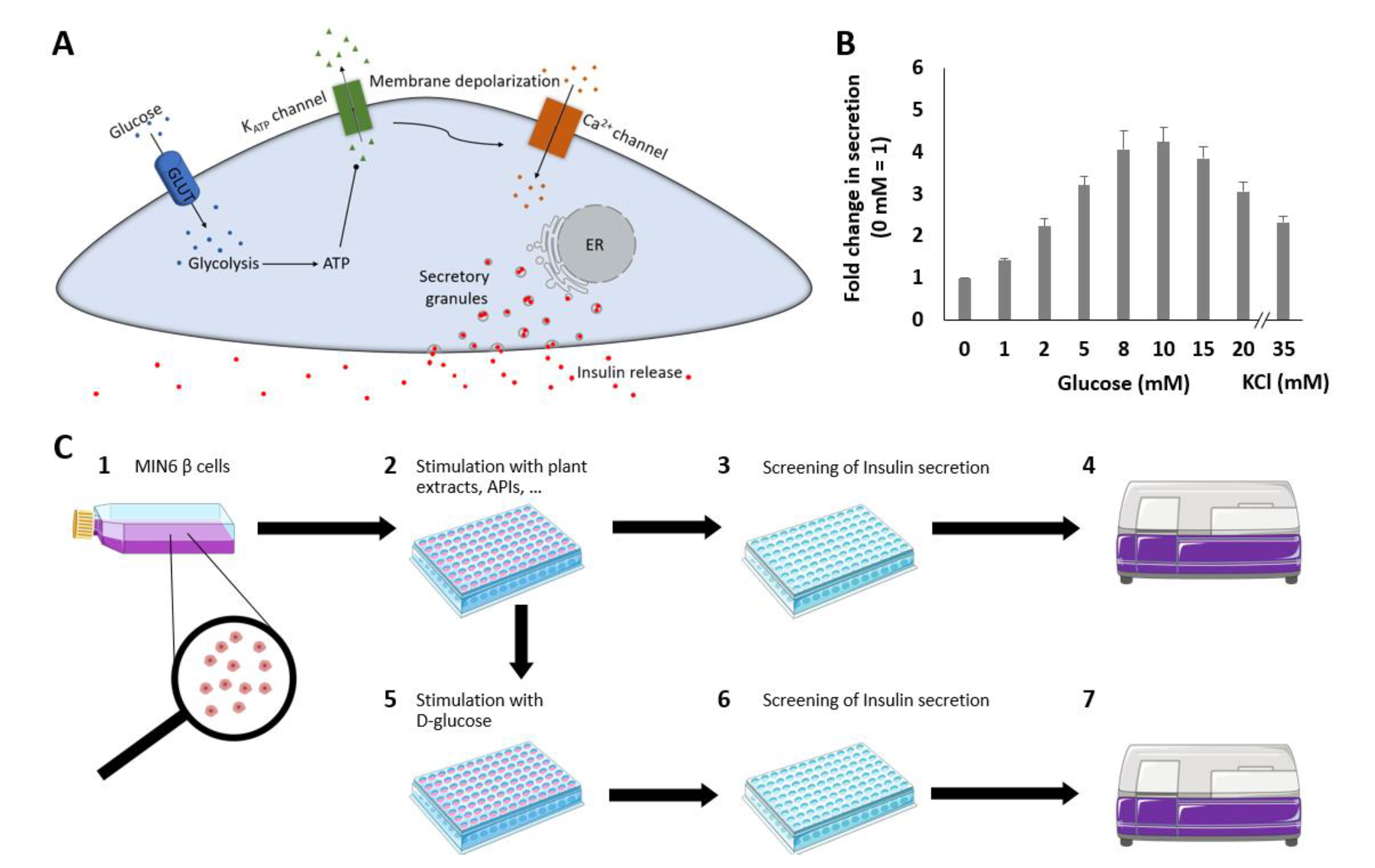 Pharmaceuticals 14 00809 g001 Pharmaceuticals 14 00809 g001