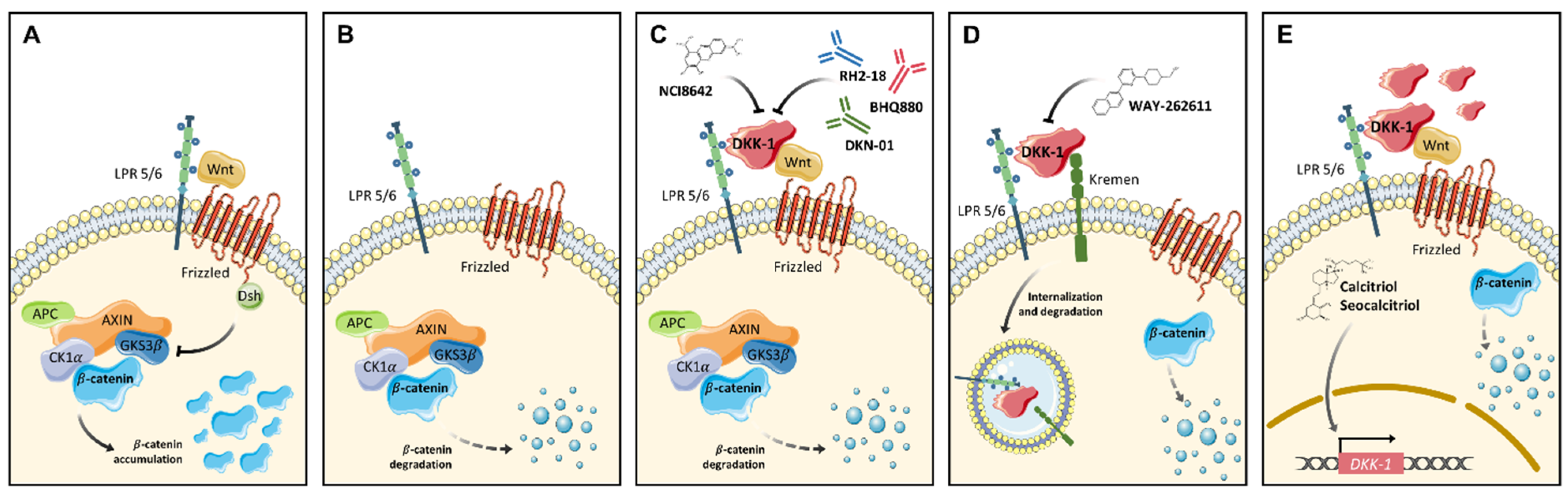 Pharmaceuticals 14 00810 g002 Pharmaceuticals 14 00810 g002