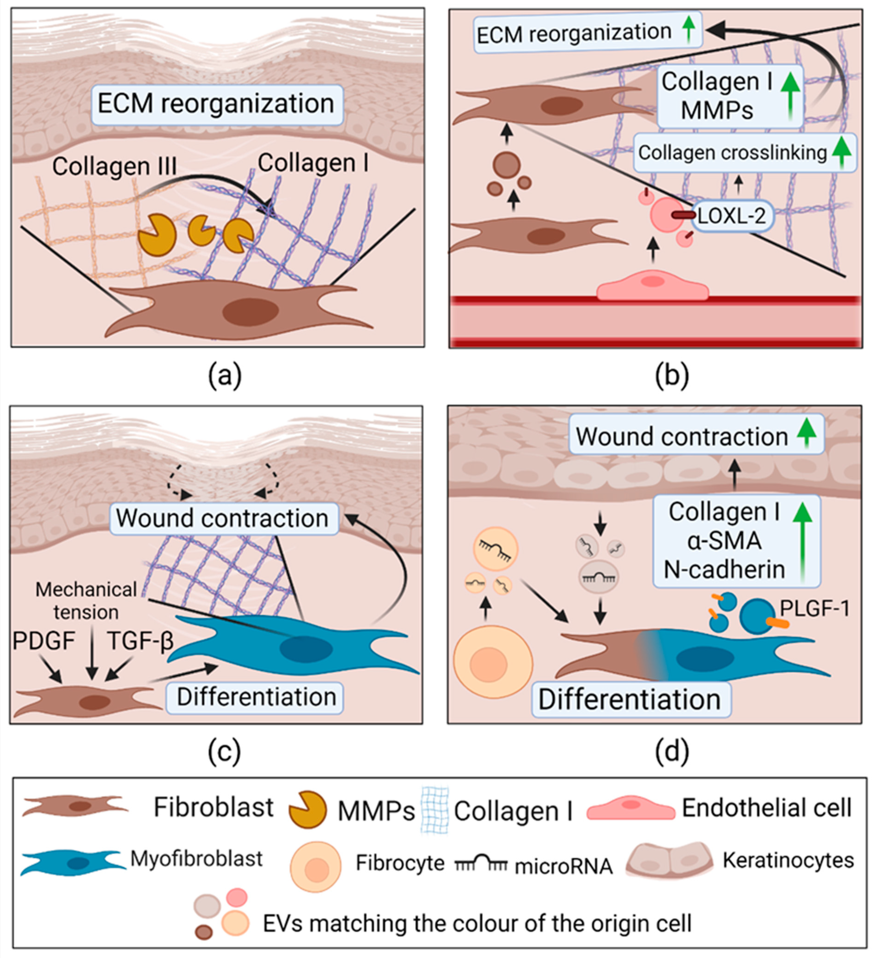 Pharmaceuticals 14 00811 g006 Pharmaceuticals 14 00811 g006