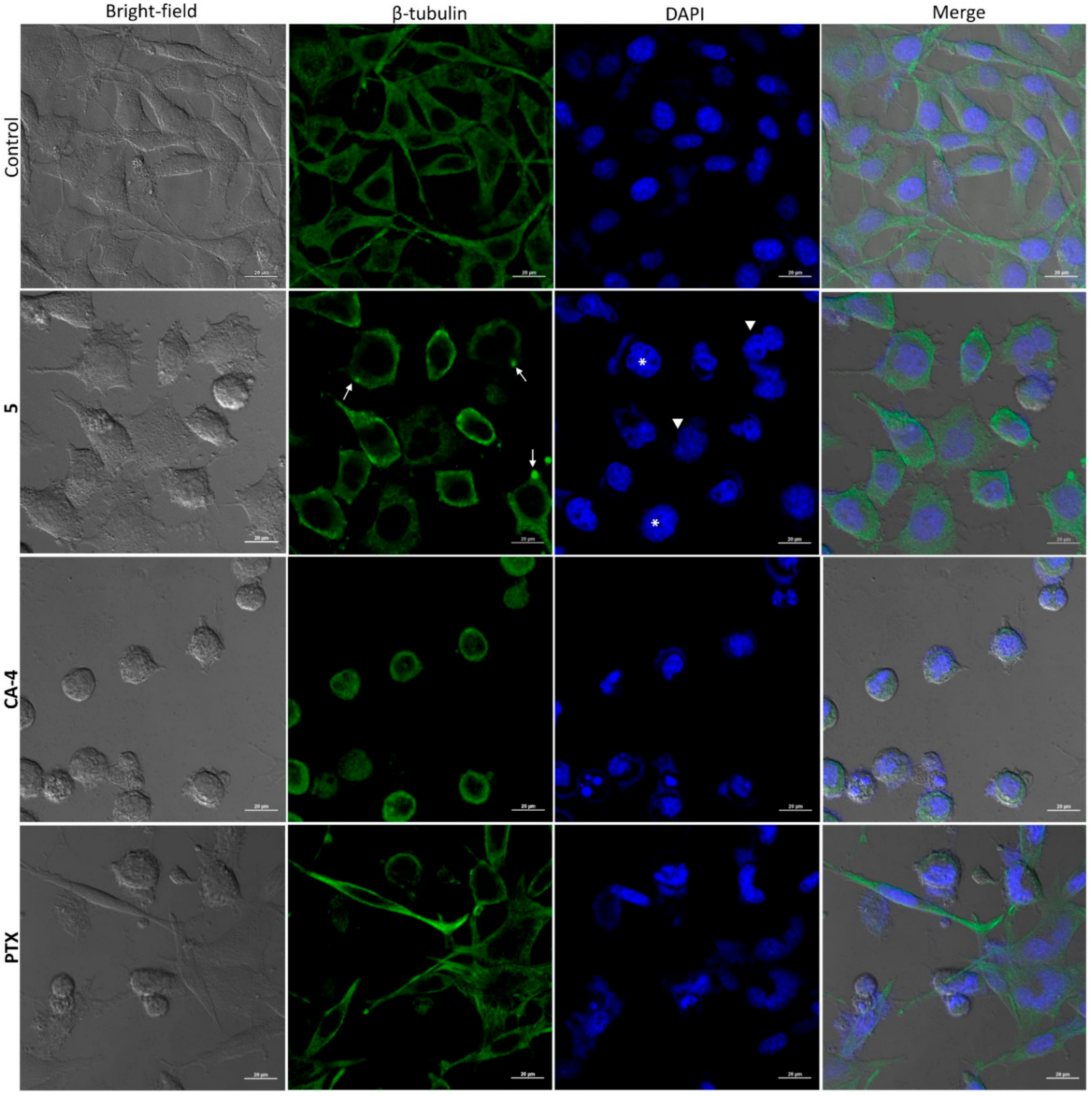 Pharmaceuticals 14 00815 g004 550
