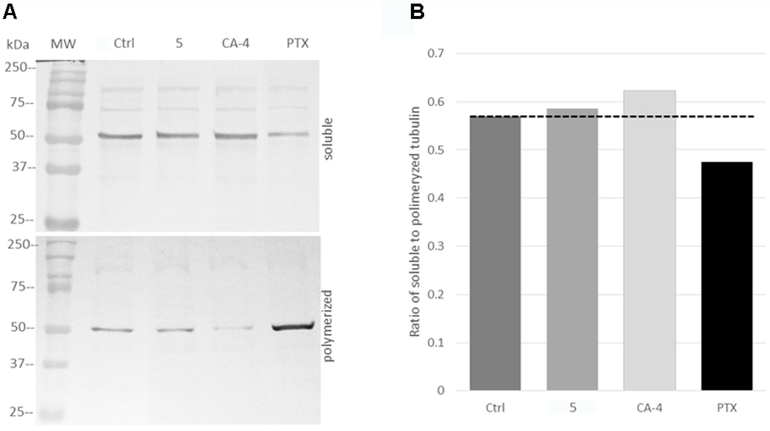Pharmaceuticals 14 00815 g006 550