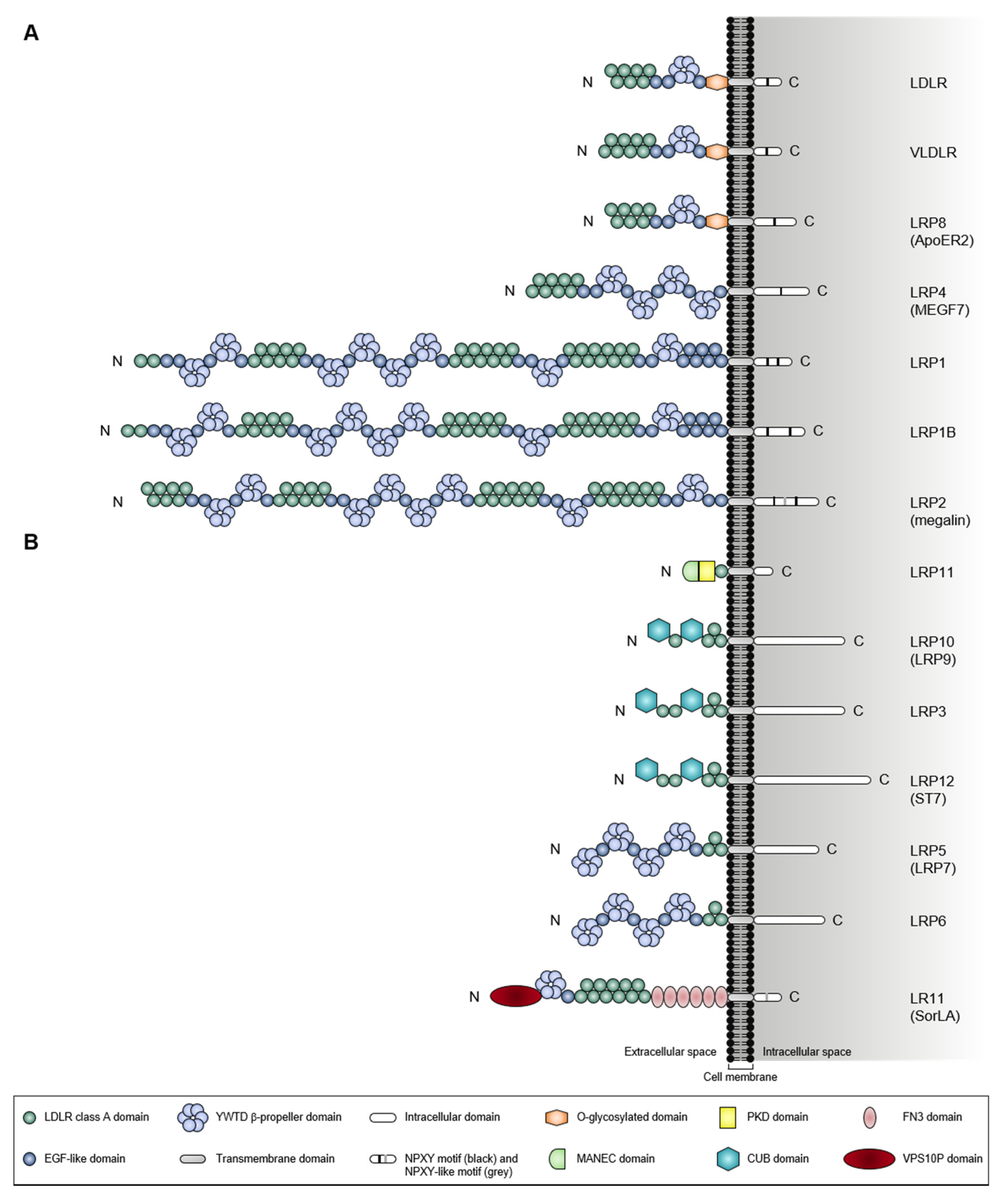 Pharmaceuticals 14 00836 g001 Pharmaceuticals 14 00836 g001