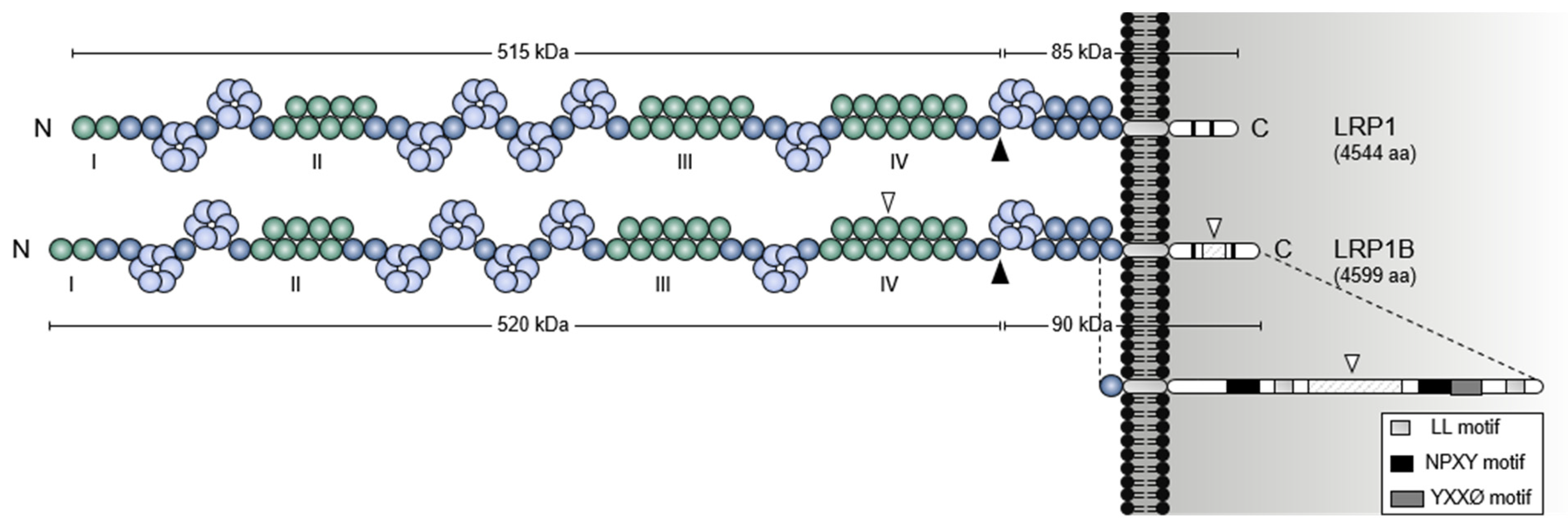 Pharmaceuticals 14 00836 g002 Pharmaceuticals 14 00836 g002