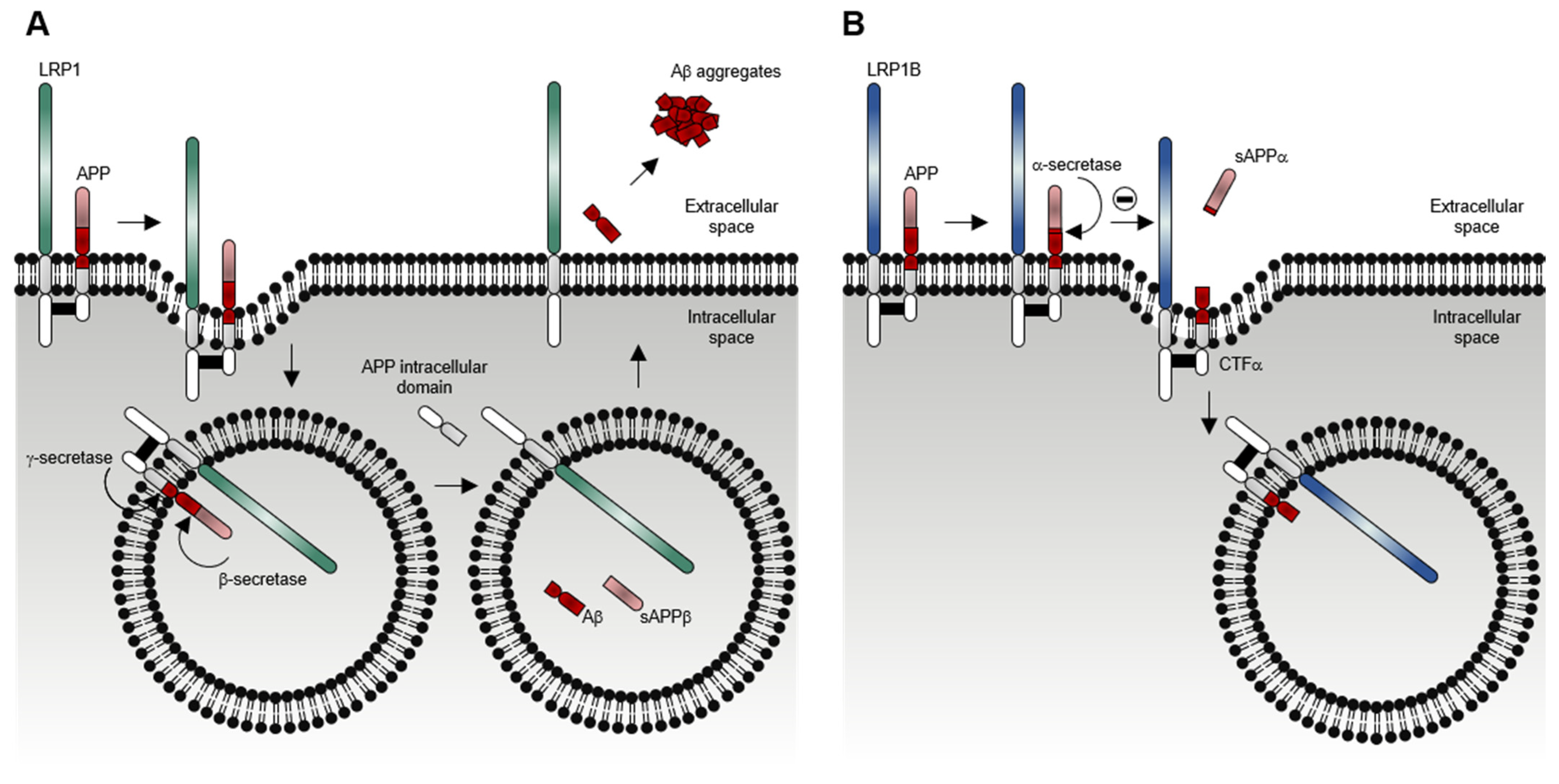 Pharmaceuticals 14 00836 g006 Pharmaceuticals 14 00836 g006