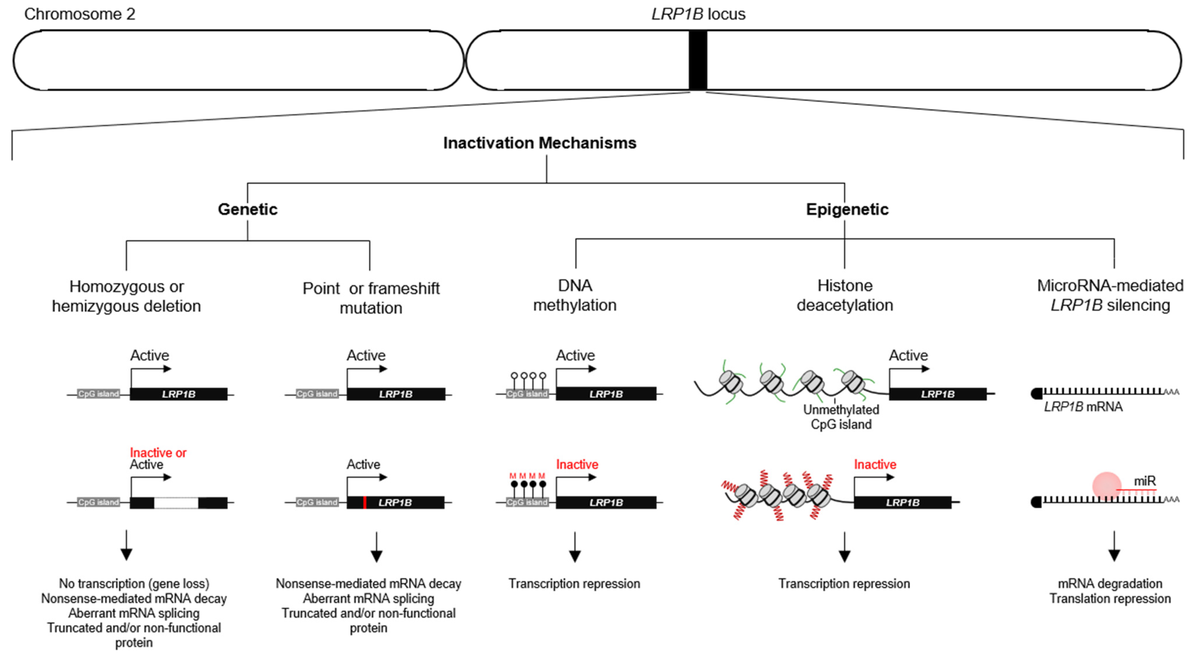 Pharmaceuticals 14 00836 g008 Pharmaceuticals 14 00836 g008