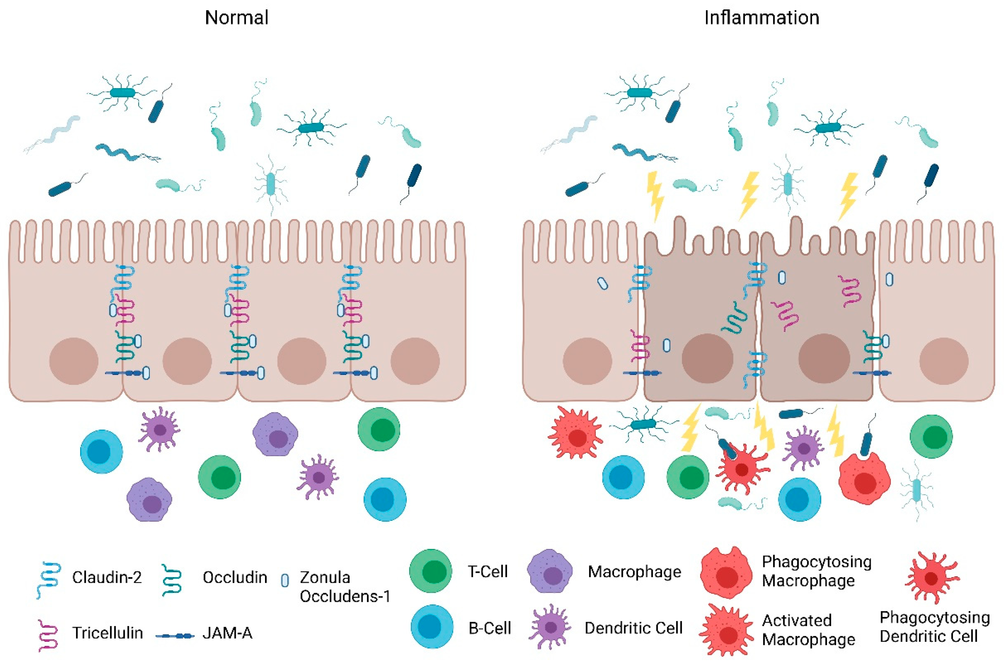 Pharmaceuticals 14 00840 g001 550