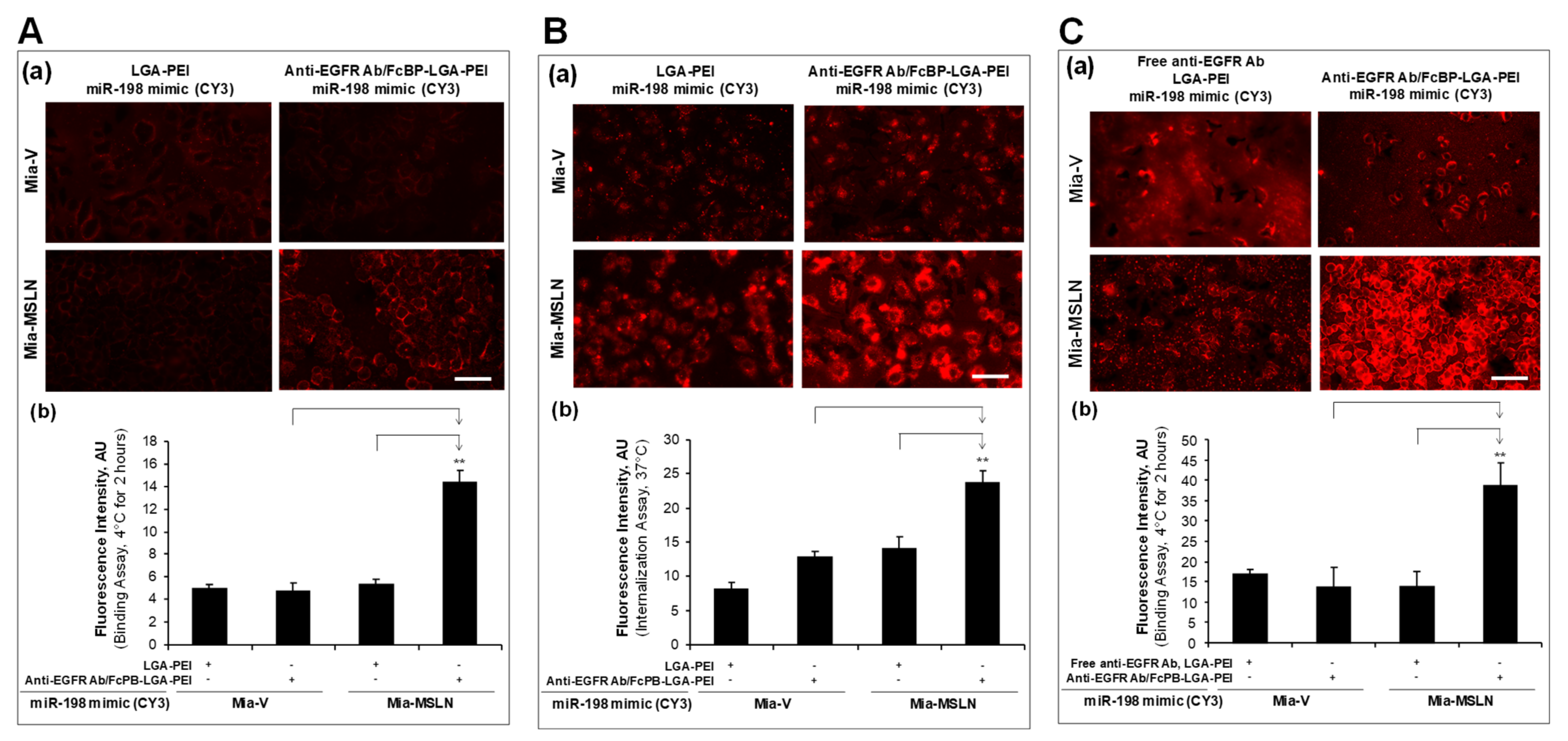 Pharmaceuticals 14 00841 g005