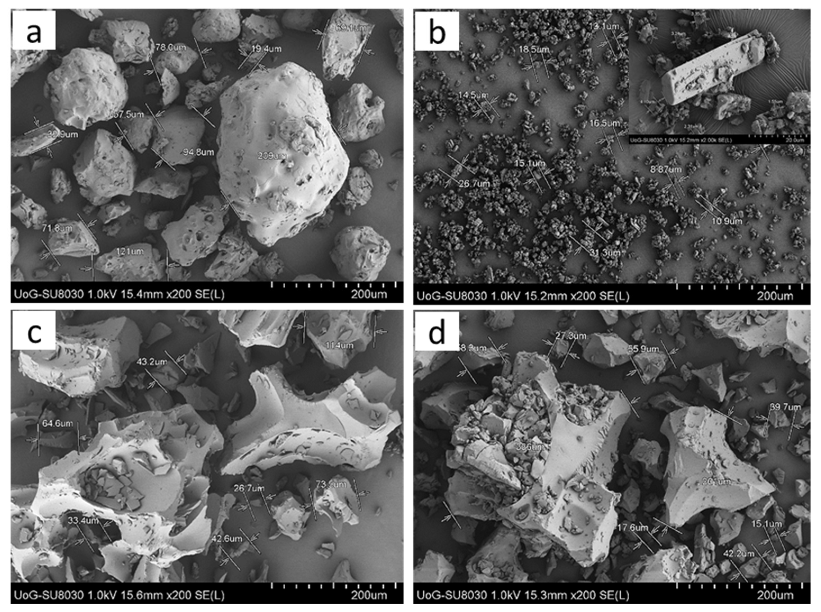 Pharmaceuticals 14 00846 g005