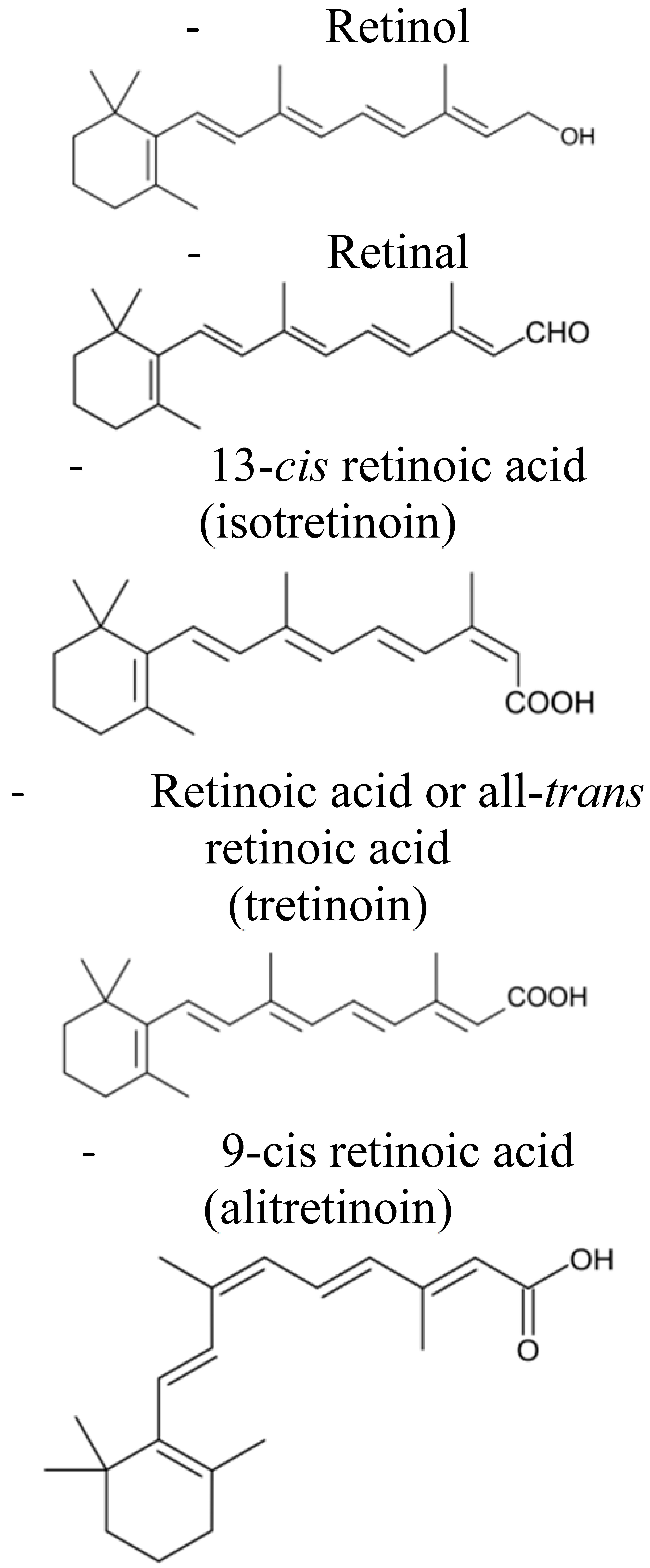 2025人気の Retinoids Delivery Systems in Cancer: Liposomal Fenretinide ブースター・導入液