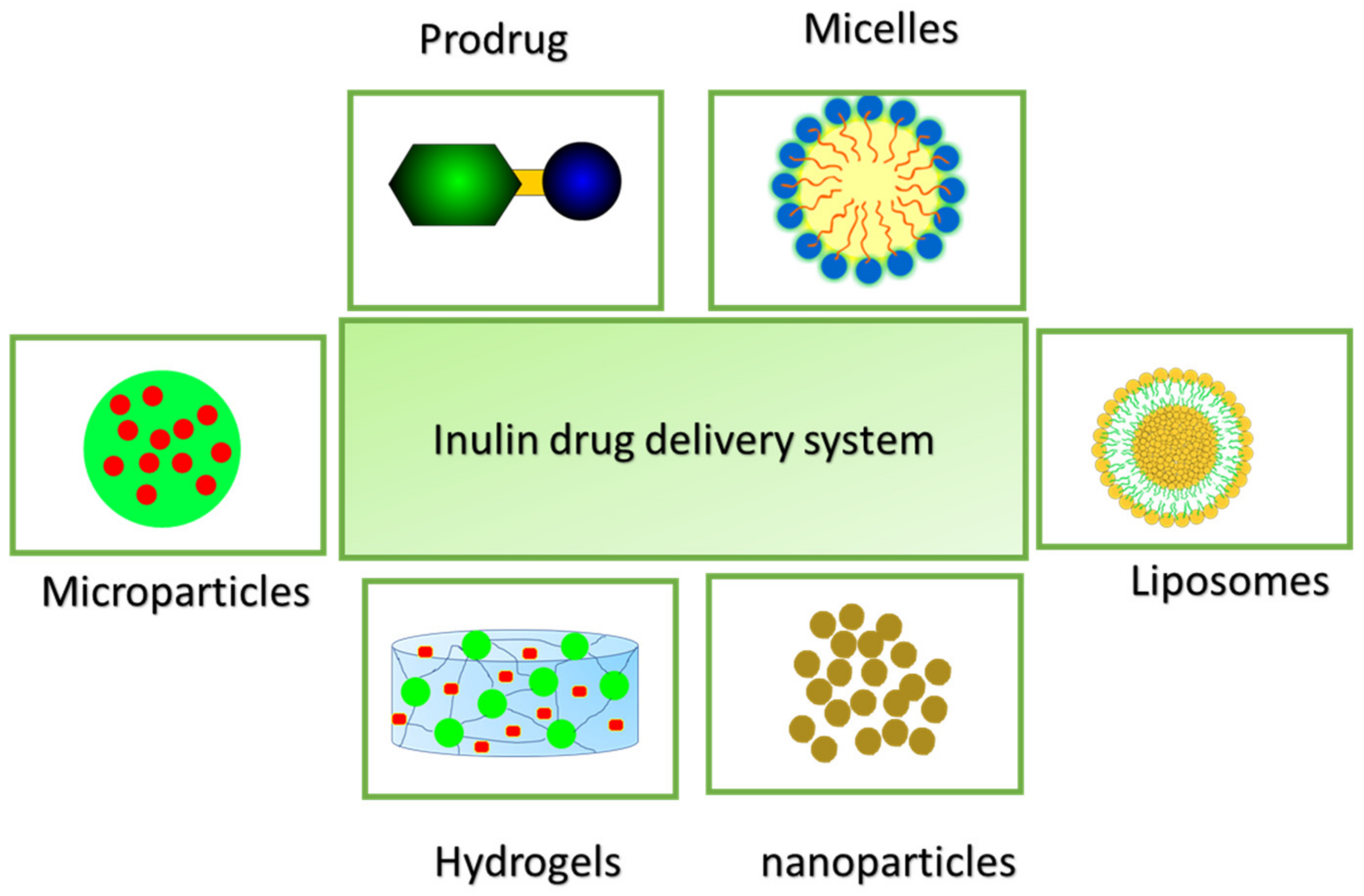 Pharmaceuticals 14 00855 g002 Pharmaceuticals 14 00855 g002