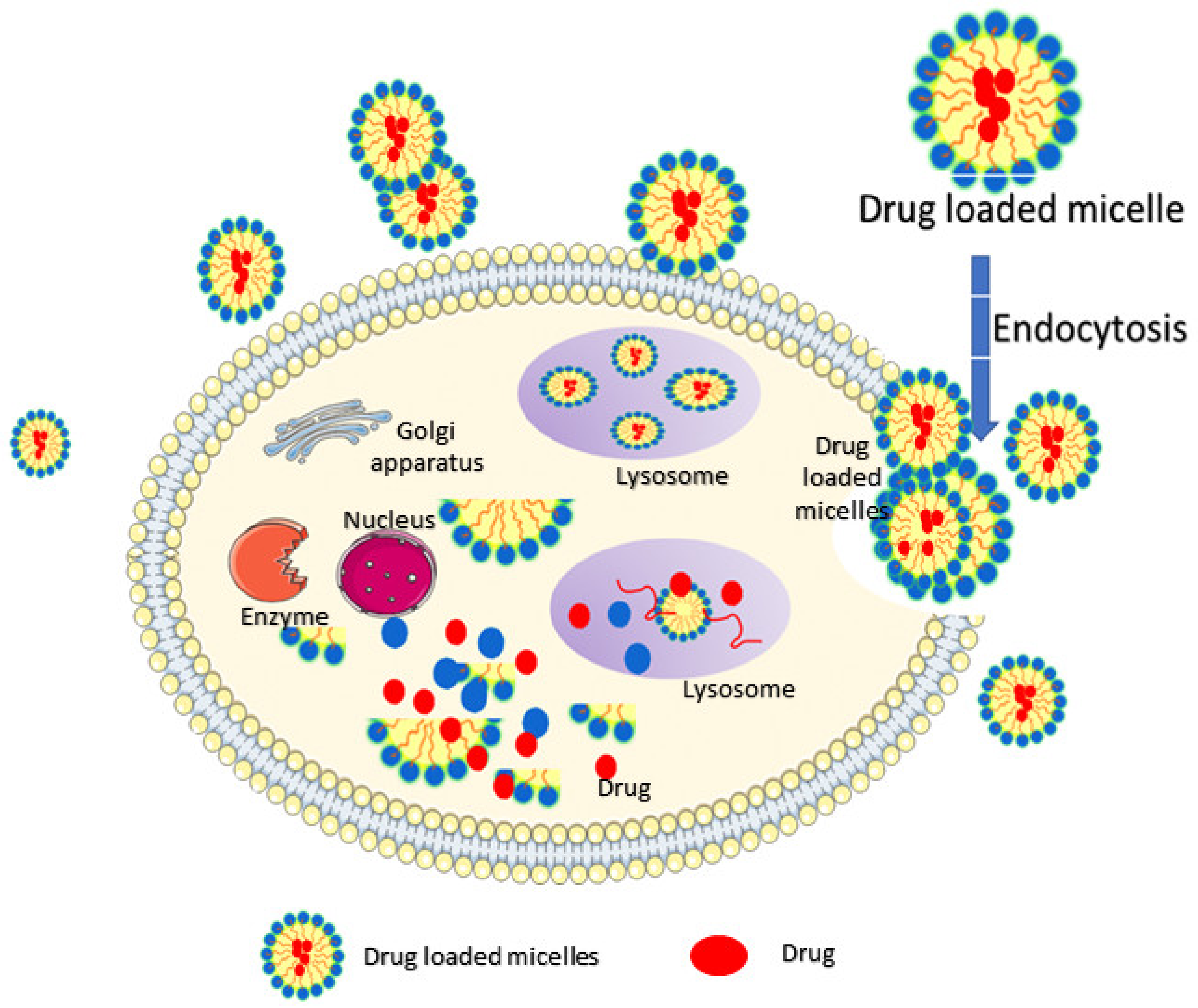 Pharmaceuticals 14 00855 g004 Pharmaceuticals 14 00855 g004