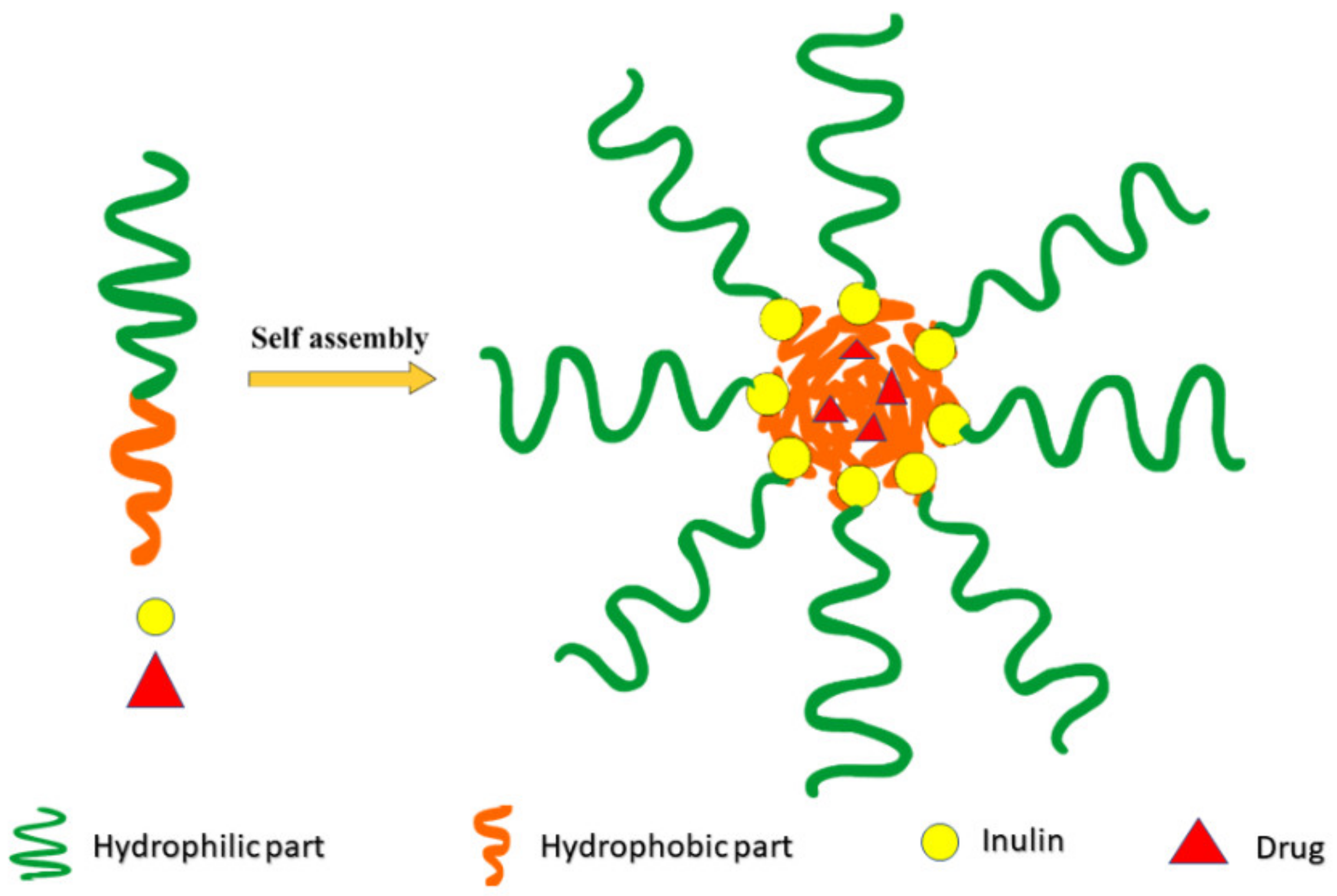 Pharmaceuticals 14 00855 g005 Pharmaceuticals 14 00855 g005