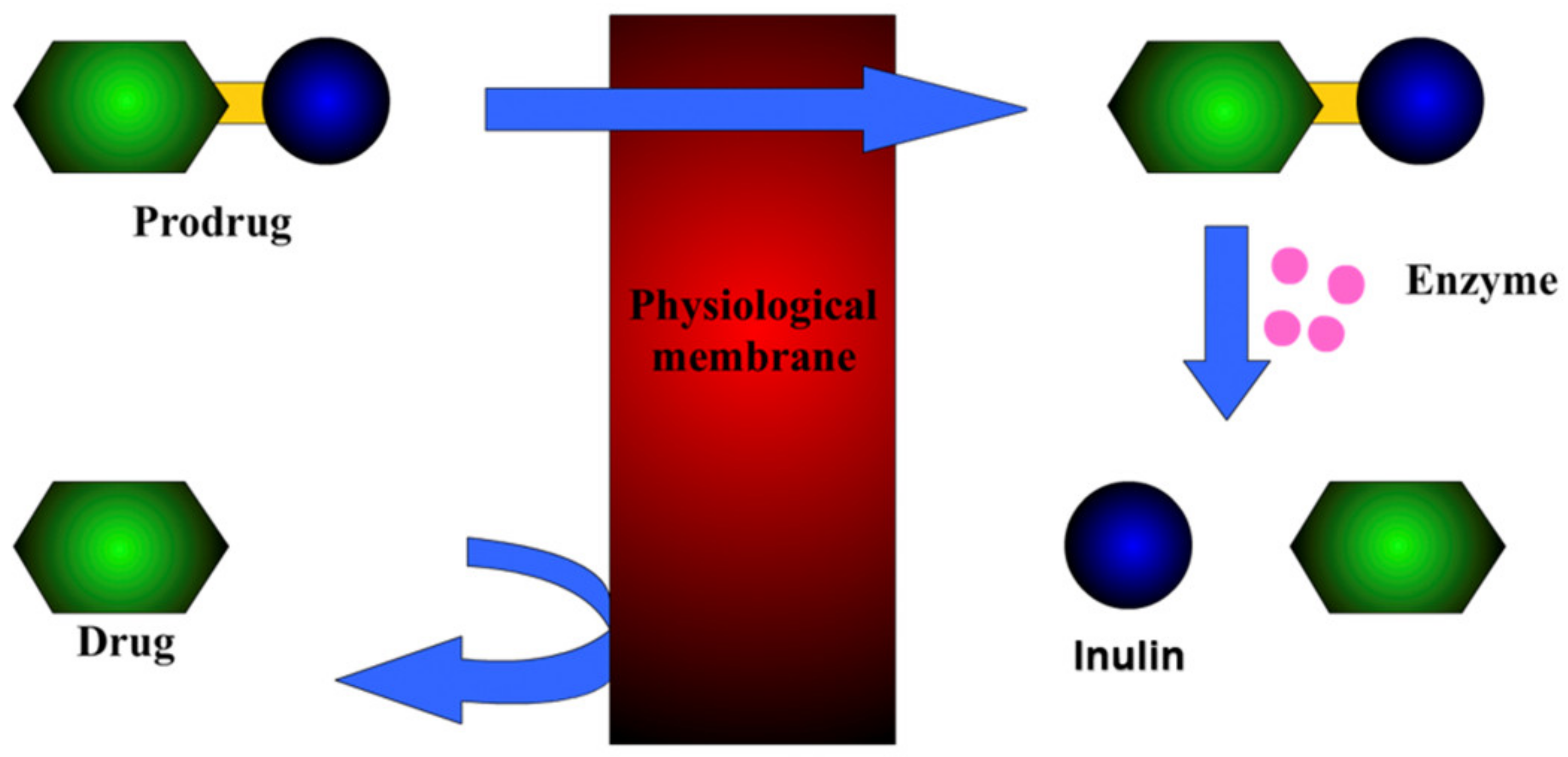 Pharmaceuticals 14 00855 g007 Pharmaceuticals 14 00855 g007