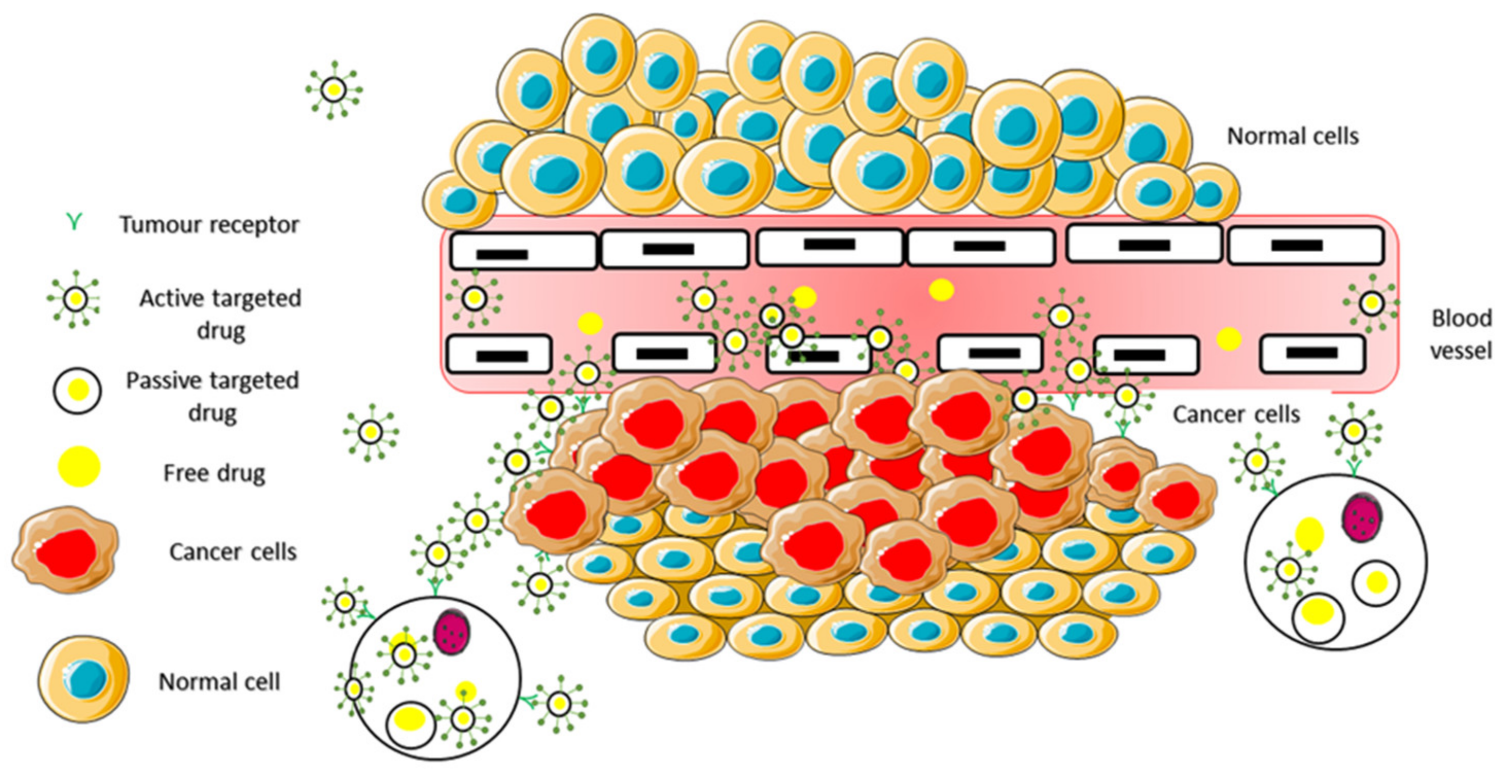 Pharmaceuticals 14 00855 g009 Pharmaceuticals 14 00855 g009