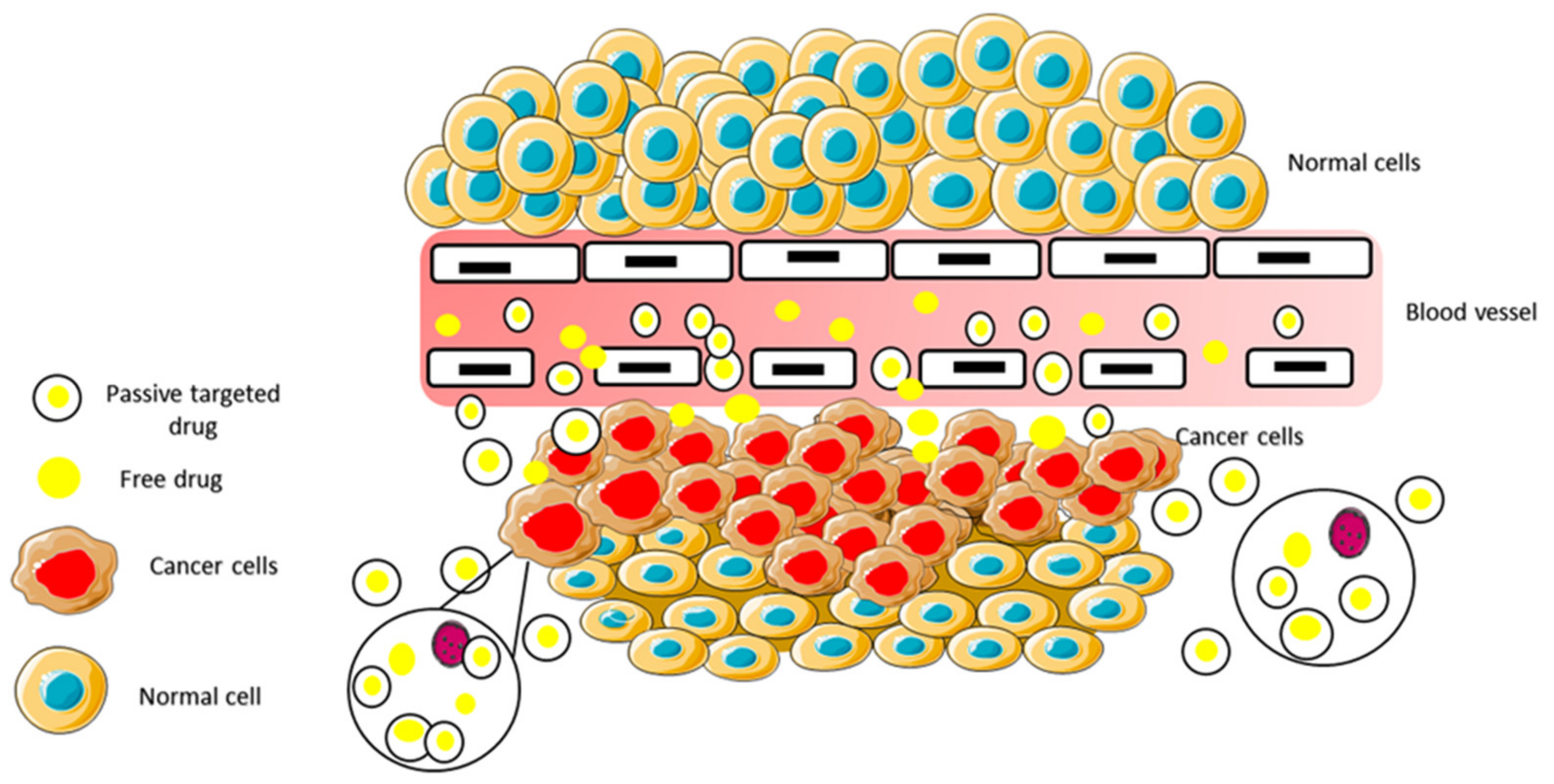 Pharmaceuticals 14 00855 g010 Pharmaceuticals 14 00855 g010