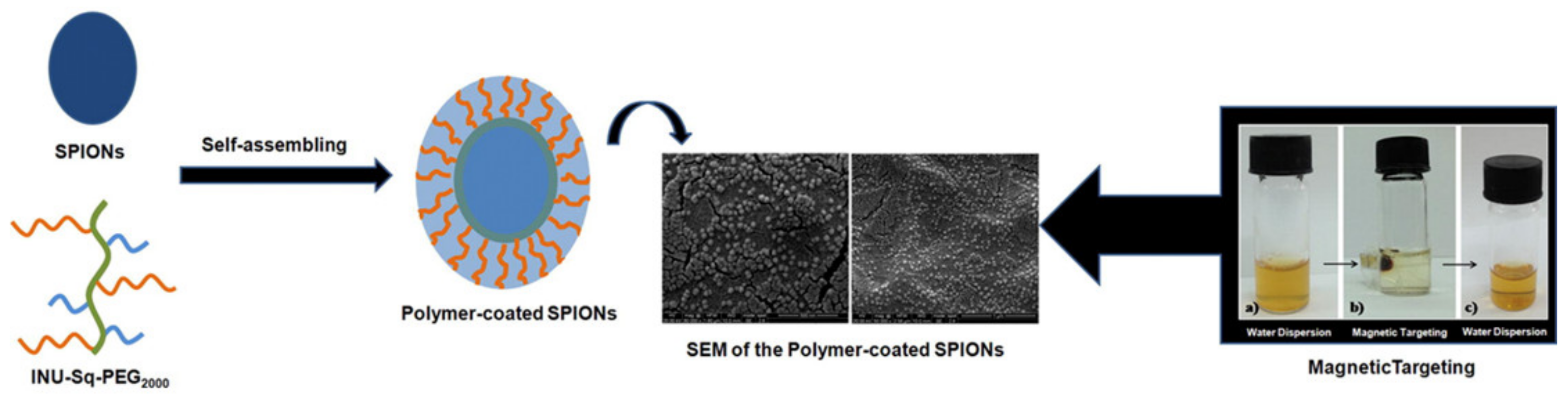 Pharmaceuticals 14 00855 g011 Pharmaceuticals 14 00855 g011