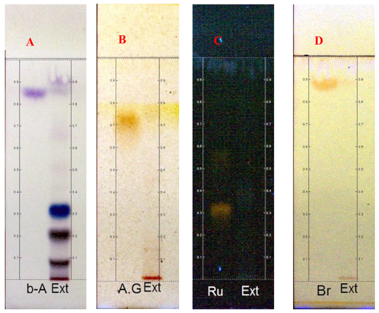 Pharmaceuticals Free Full Text Hypoglycemic Activity Of Aqueous Extract Of Latex From Hancornia Speciosa Gomes A Study In Zebrafish And In Silico Html Pharmaceuticals Free Full Text Hypoglycemic Activity Of Aqueous Extract Of Latex From Hancornia Speciosa Gomes A Study In Zebrafish And In Silico Html