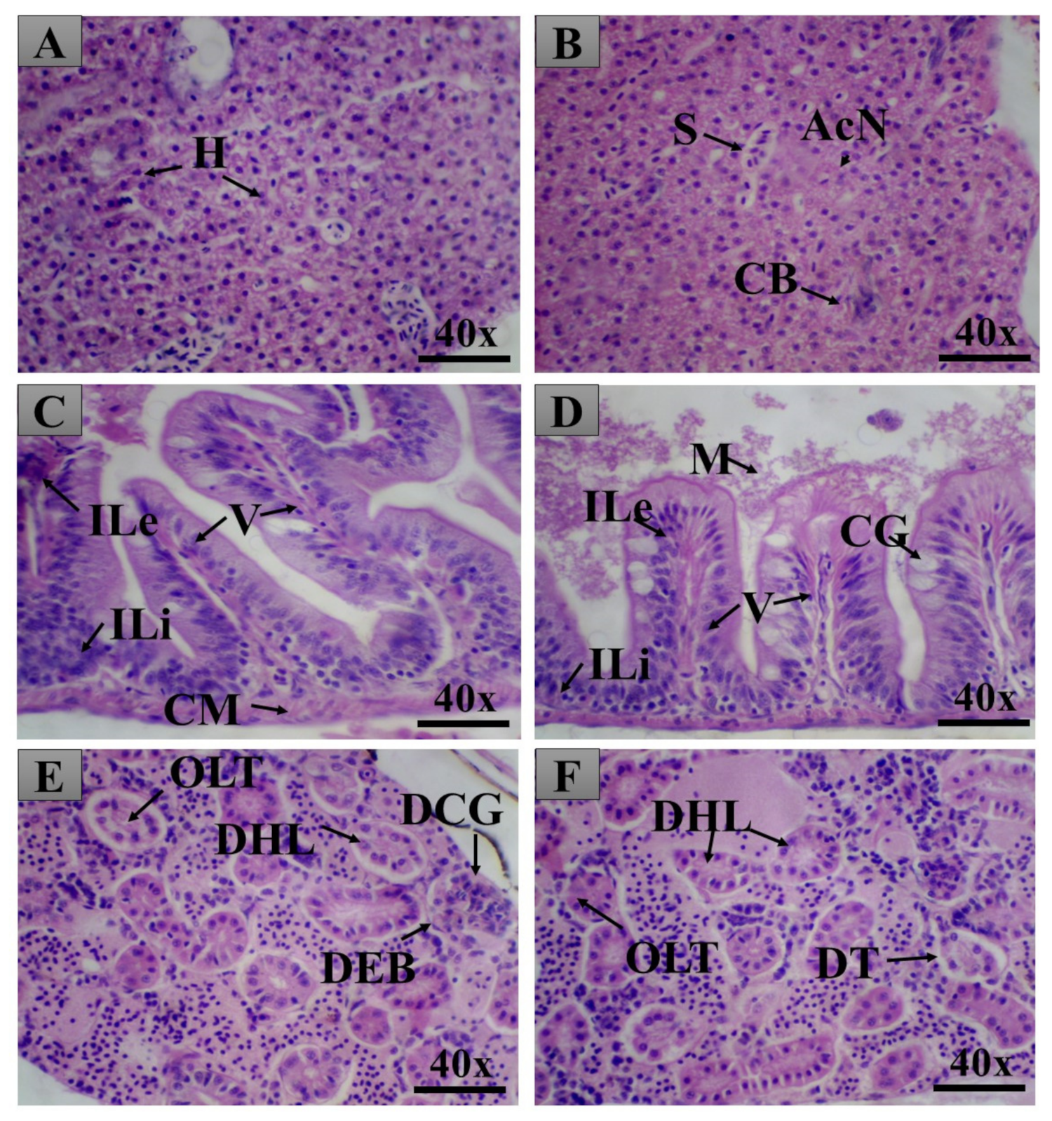 Pharmaceuticals 14 00856 g010 Pharmaceuticals 14 00856 g010