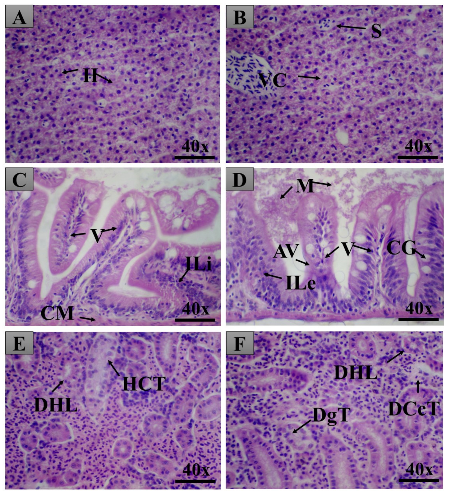 Pharmaceuticals 14 00856 g011 Pharmaceuticals 14 00856 g011