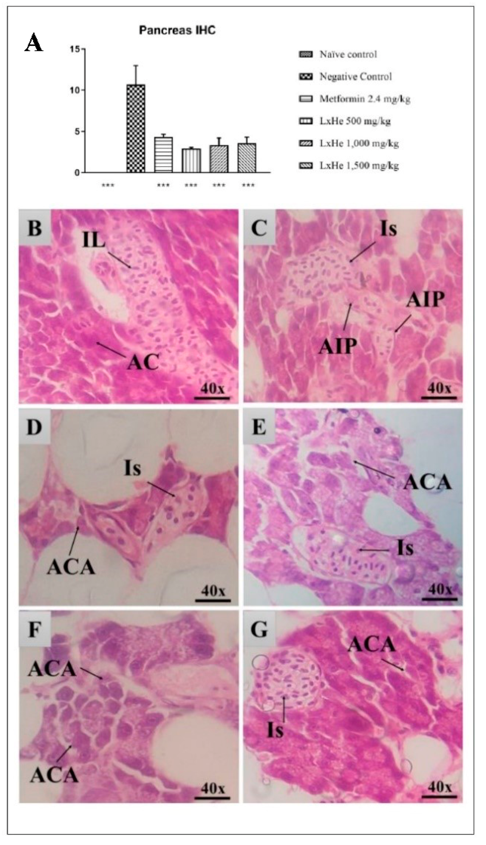 Pharmaceuticals 14 00856 g013 Pharmaceuticals 14 00856 g013