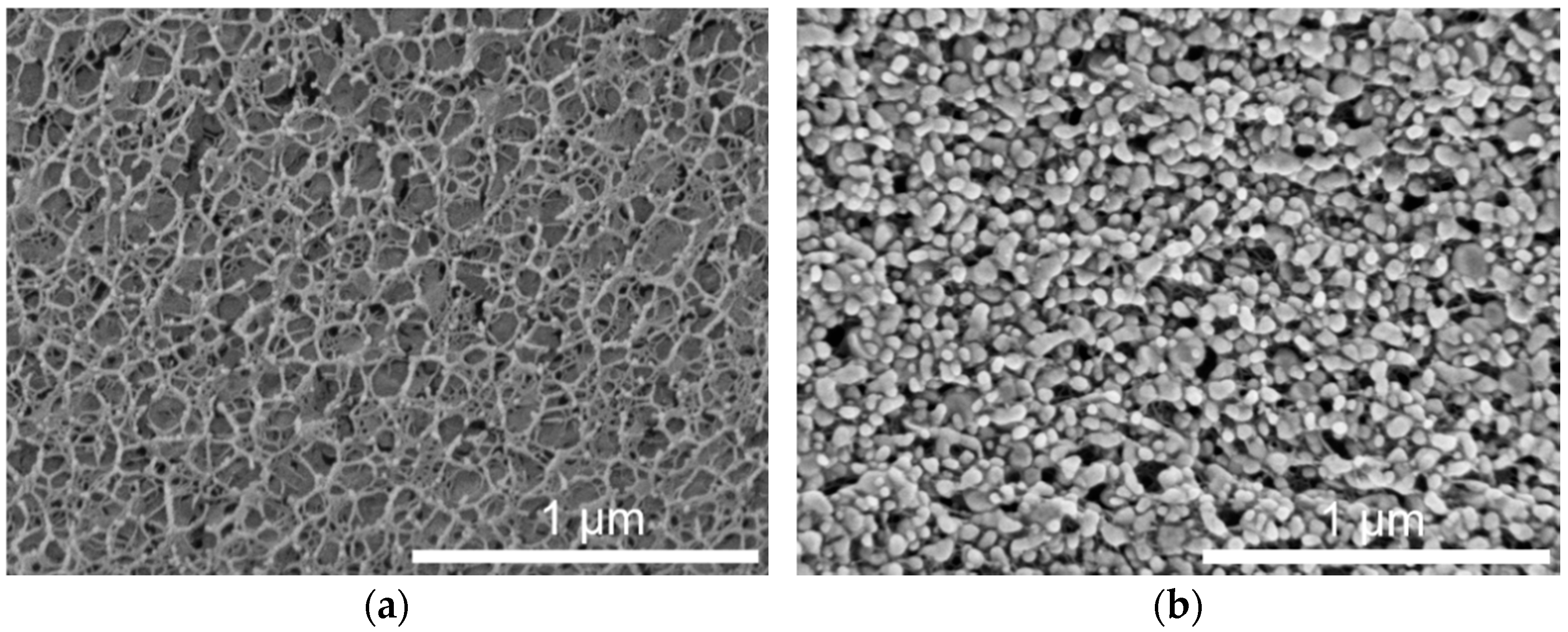 Pharmaceuticals 14 00865 g004 550