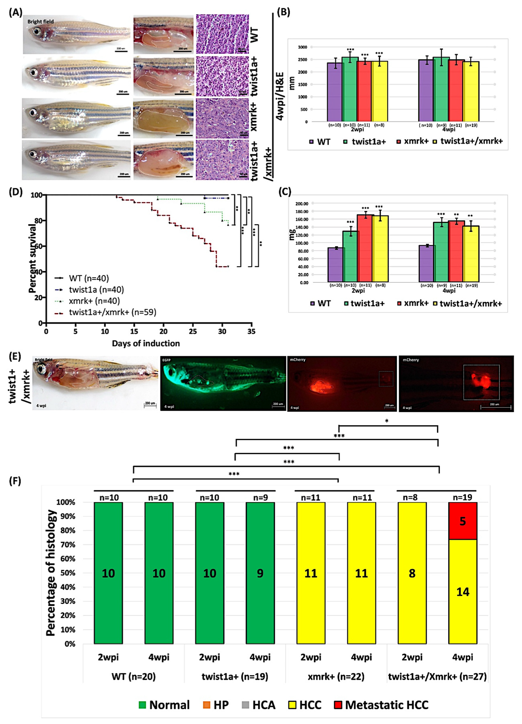 Pharmaceuticals 14 00867 g002 Pharmaceuticals 14 00867 g002