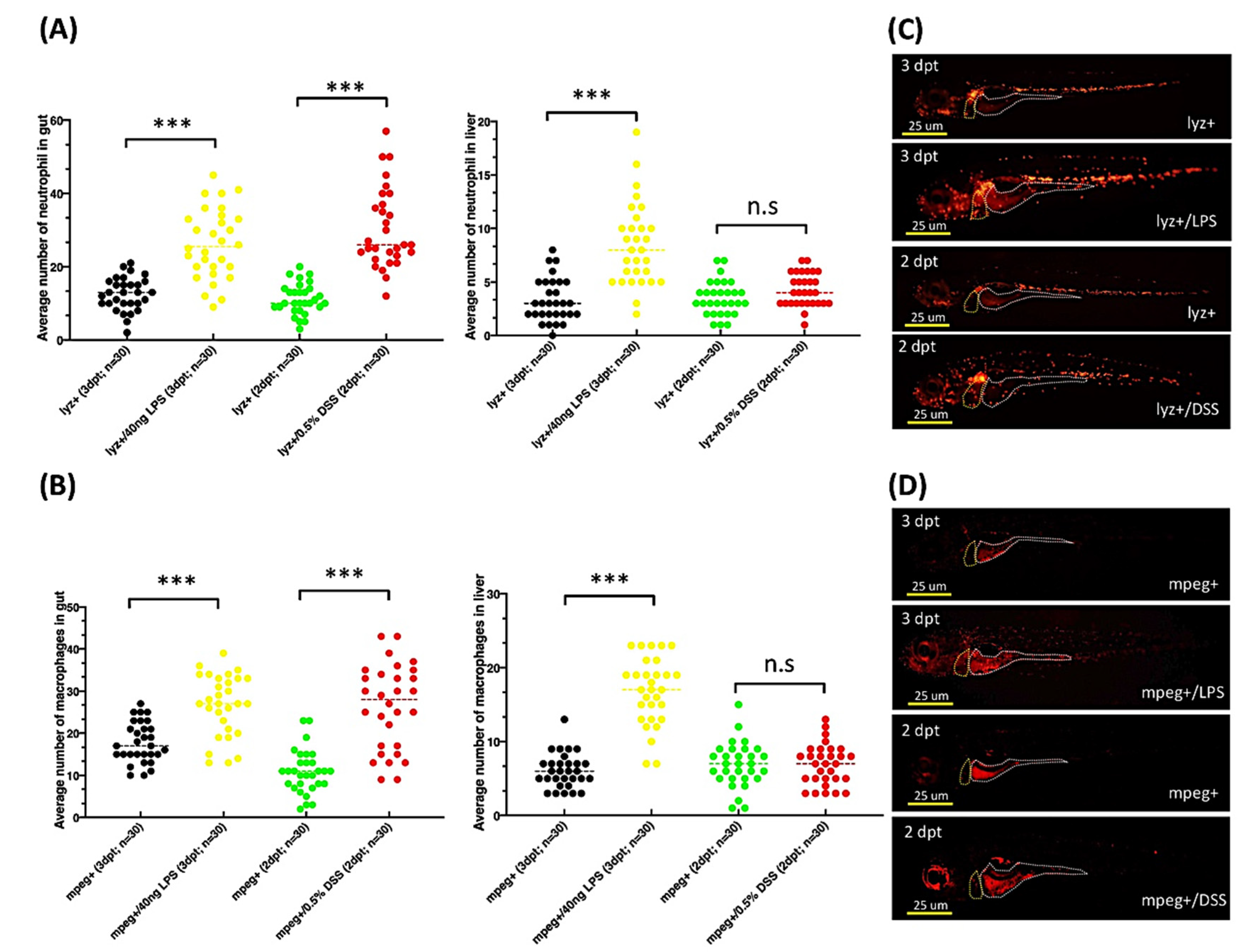 Pharmaceuticals 14 00867 g006 Pharmaceuticals 14 00867 g006