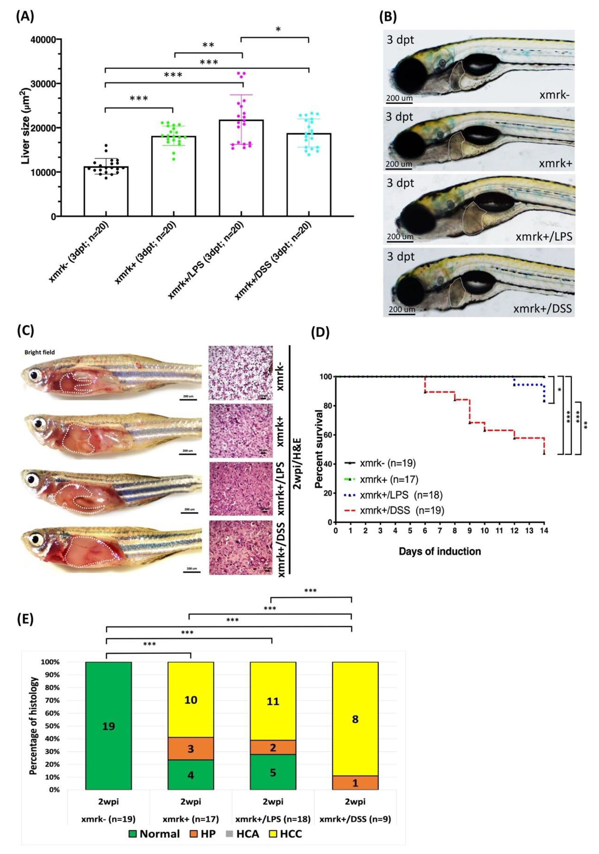 Pharmaceuticals 14 00867 g007 Pharmaceuticals 14 00867 g007