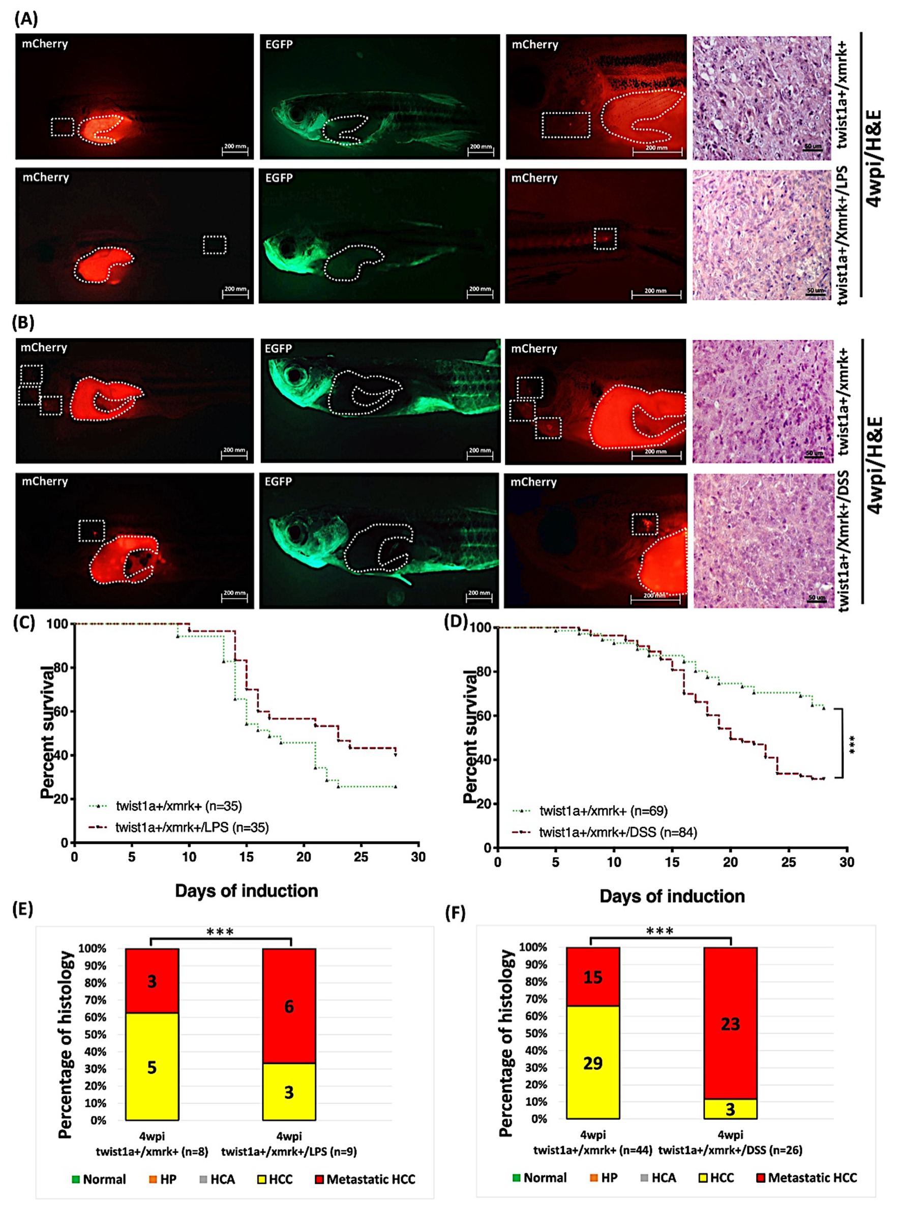 Pharmaceuticals 14 00867 g008 Pharmaceuticals 14 00867 g008