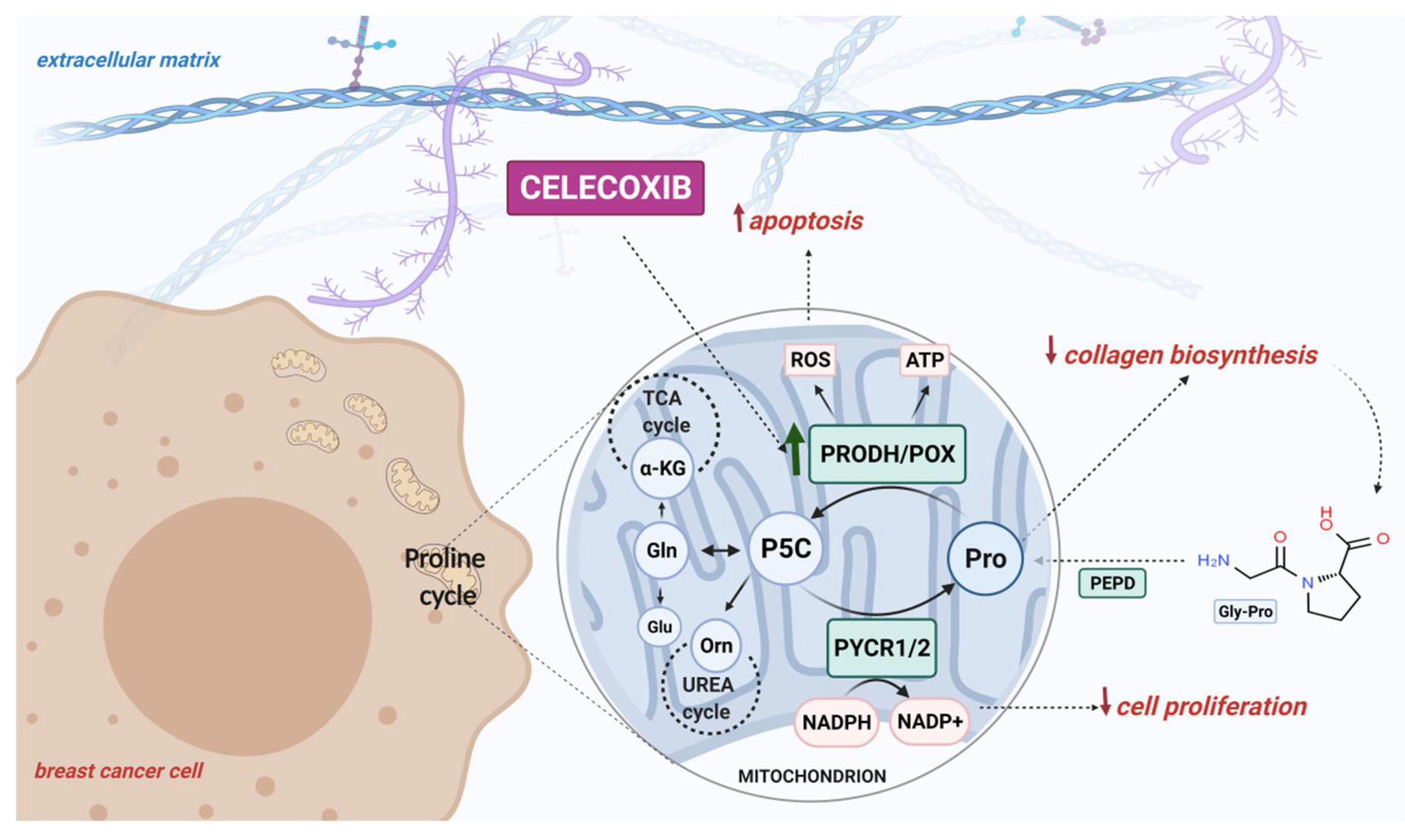 Pharmaceuticals 14 00874 g005