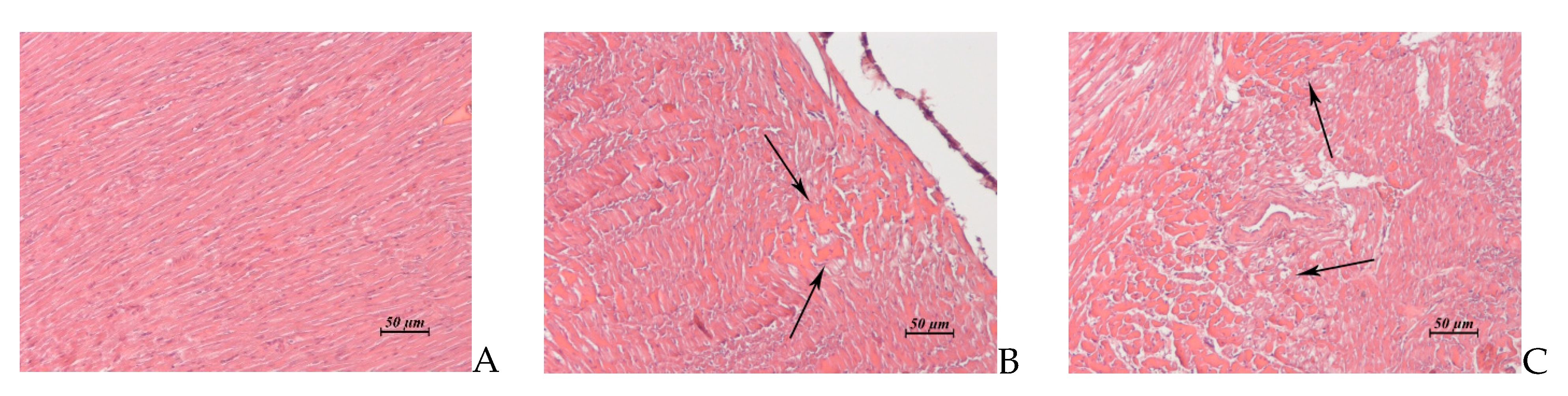 Pharmaceuticals 14 00900 g006 550