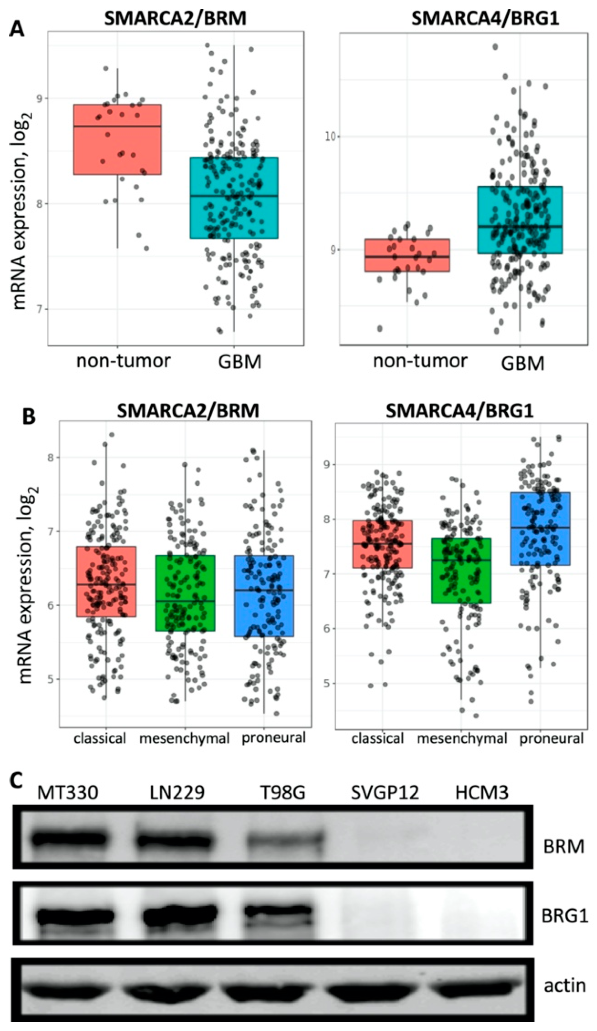 Pharmaceuticals 14 00904 g001 550
