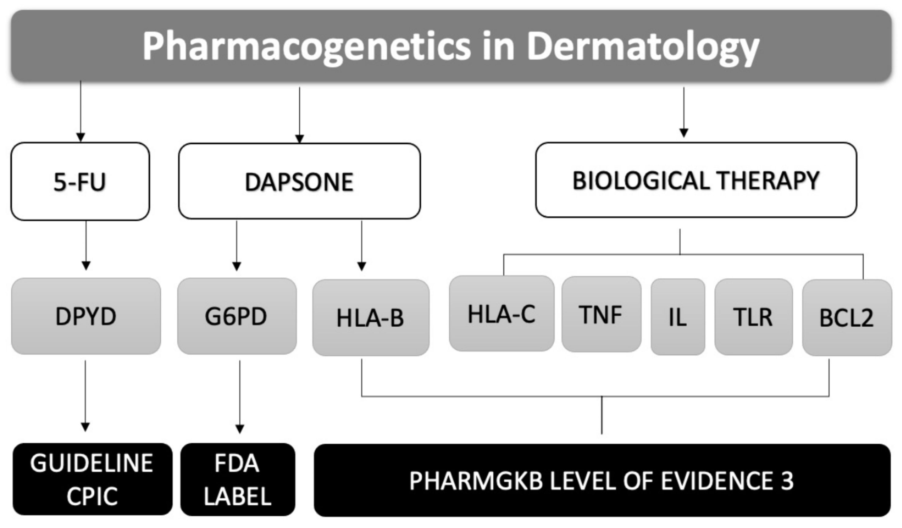 Pharmaceuticals 14 00905 g001