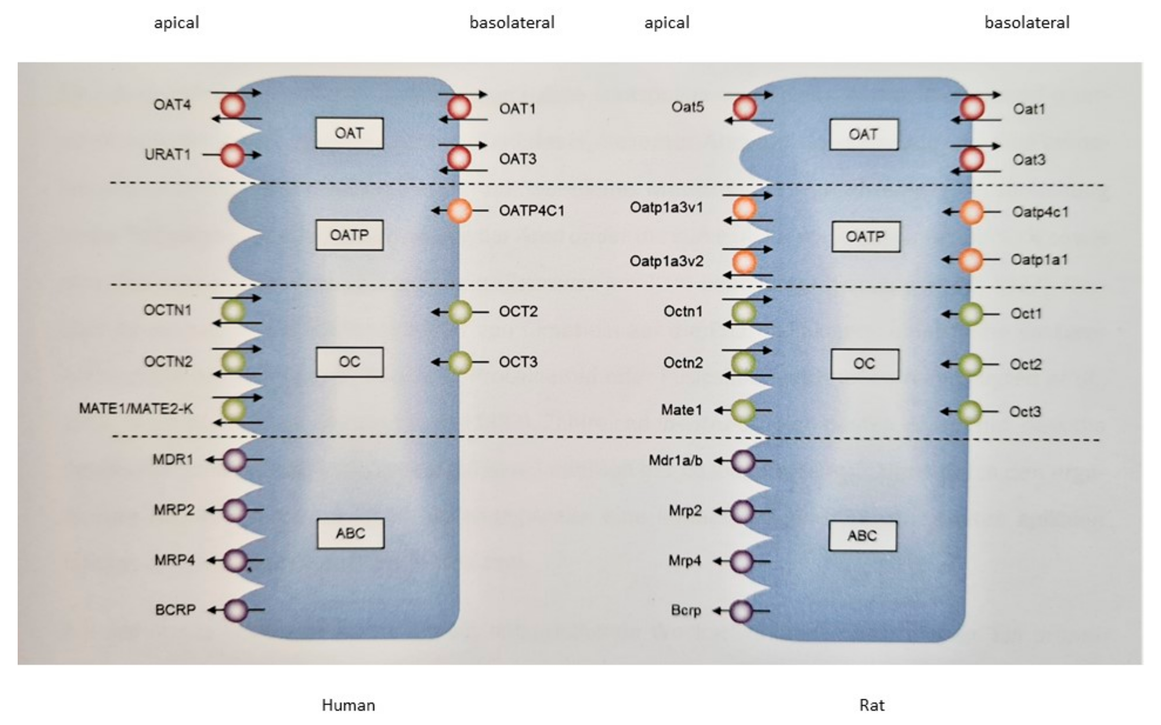 Pharmaceuticals 14 00908 g001 550