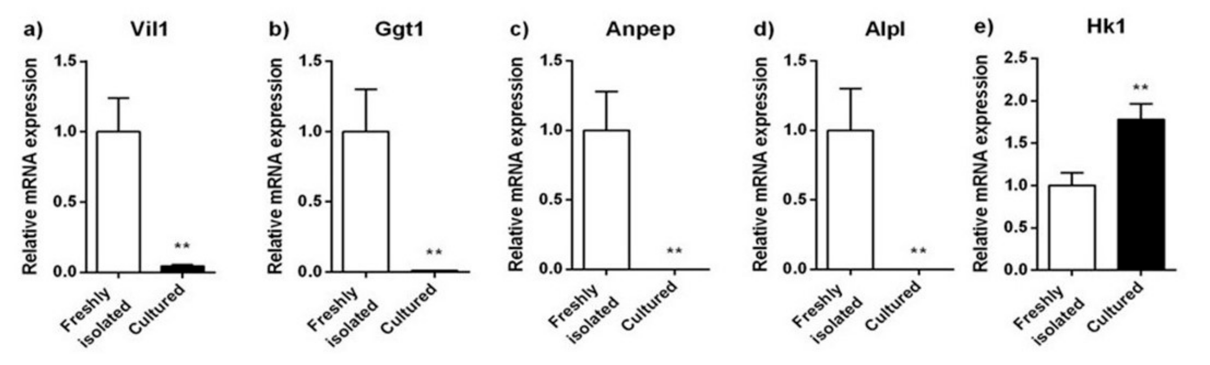 Pharmaceuticals 14 00908 g004 550