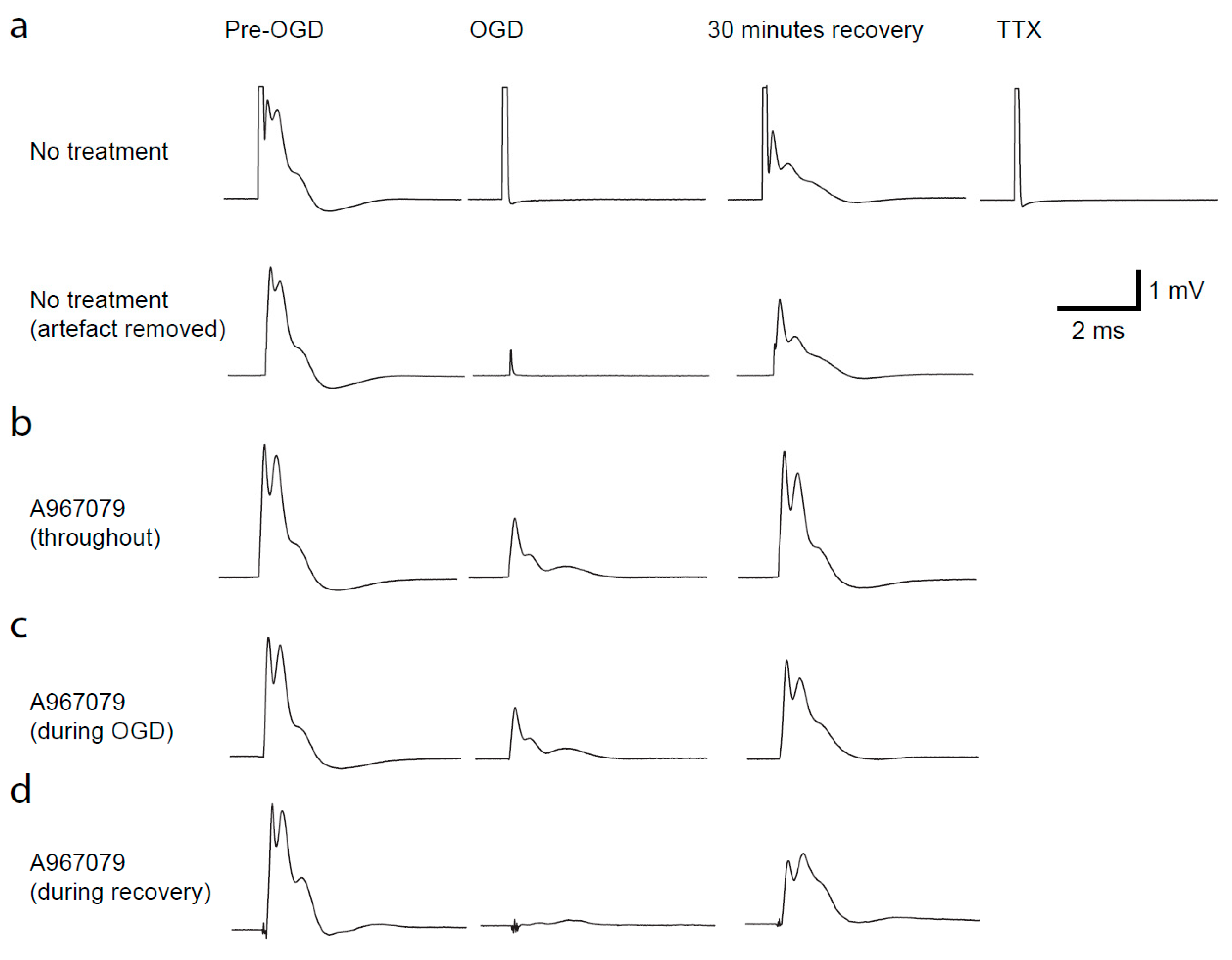 Pharmaceuticals 14 00909 g003