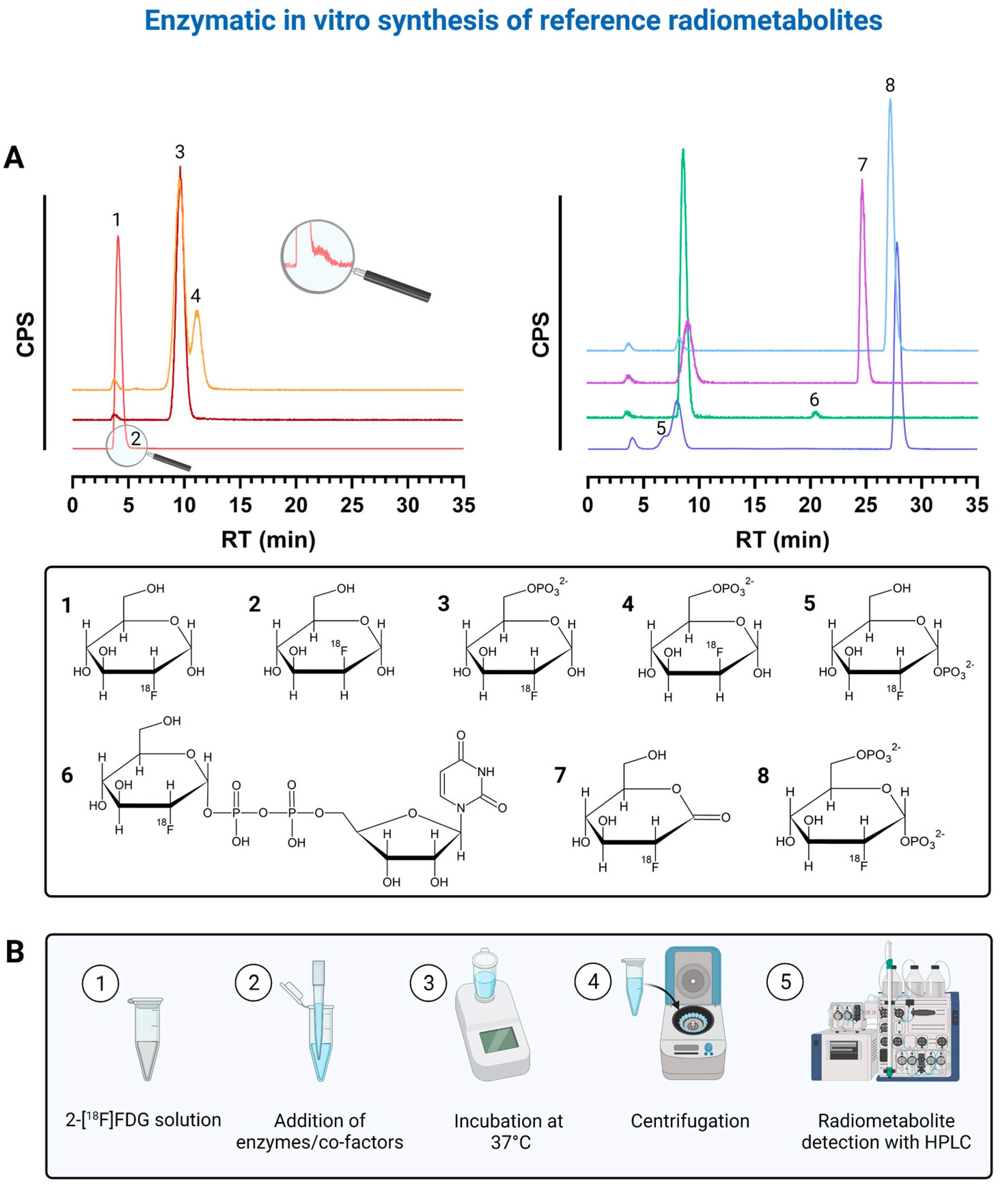 Pharmaceuticals 14 00910 g001