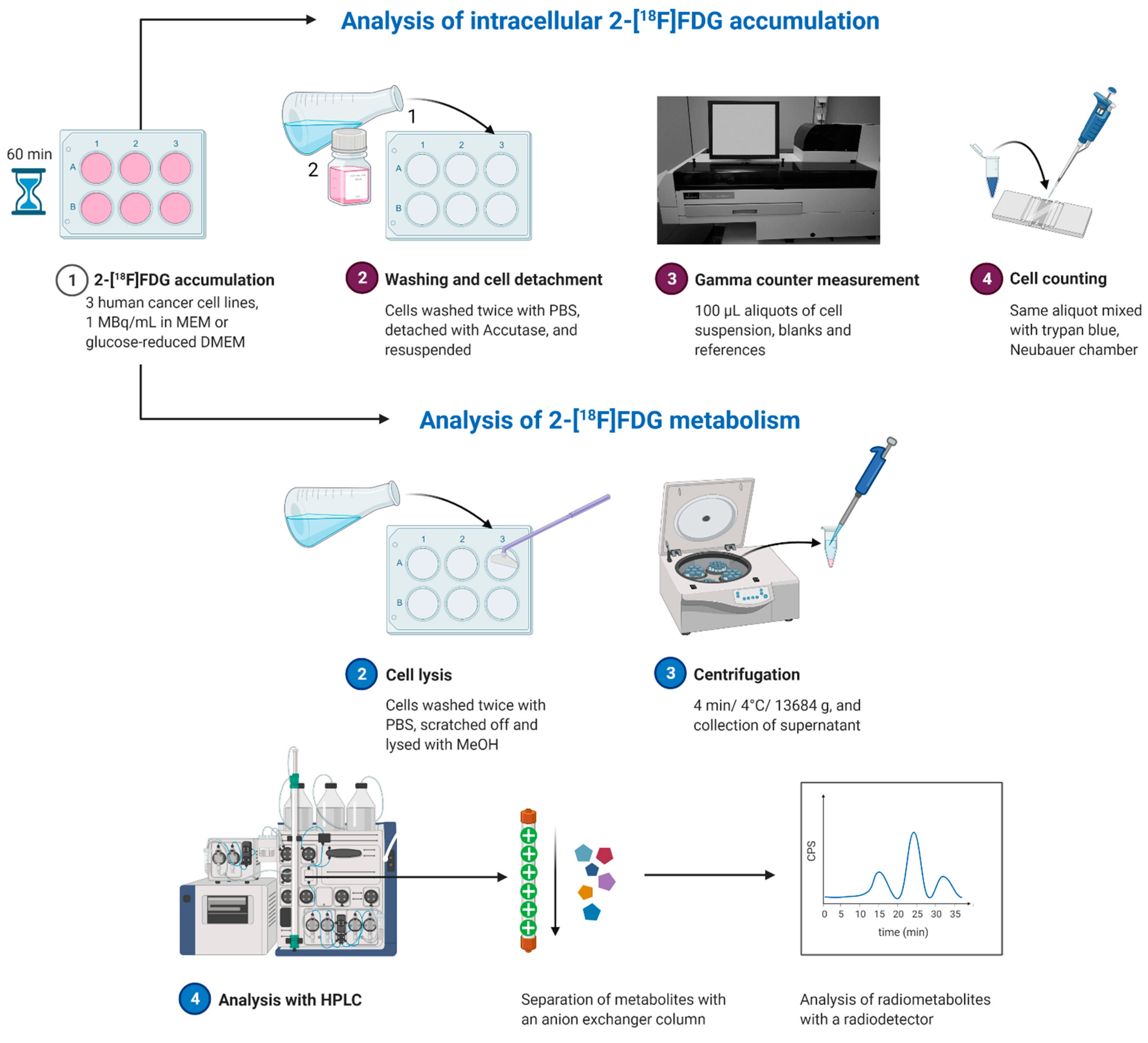 Pharmaceuticals 14 00910 g002