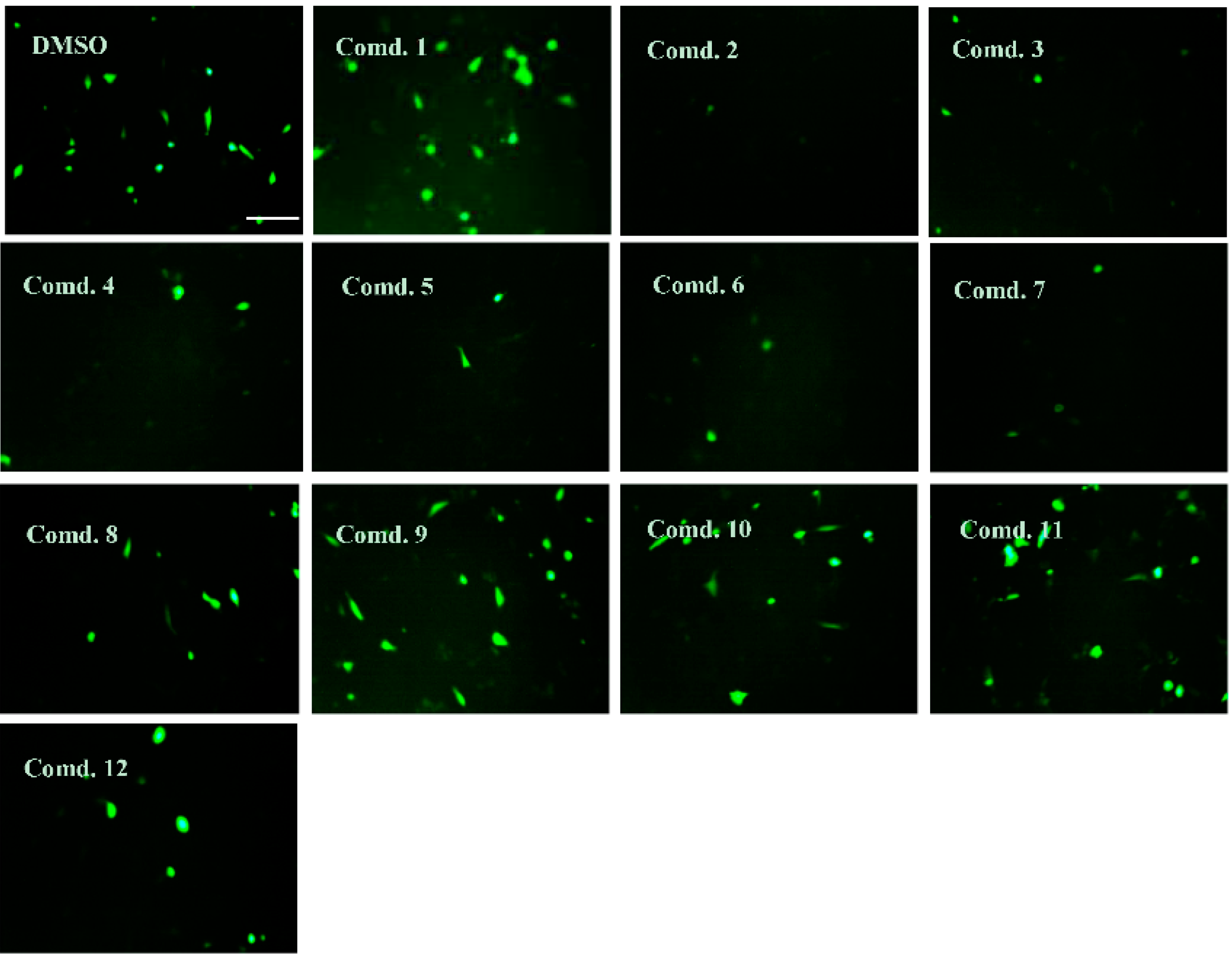 Pharmaceuticals 14 00911 g005