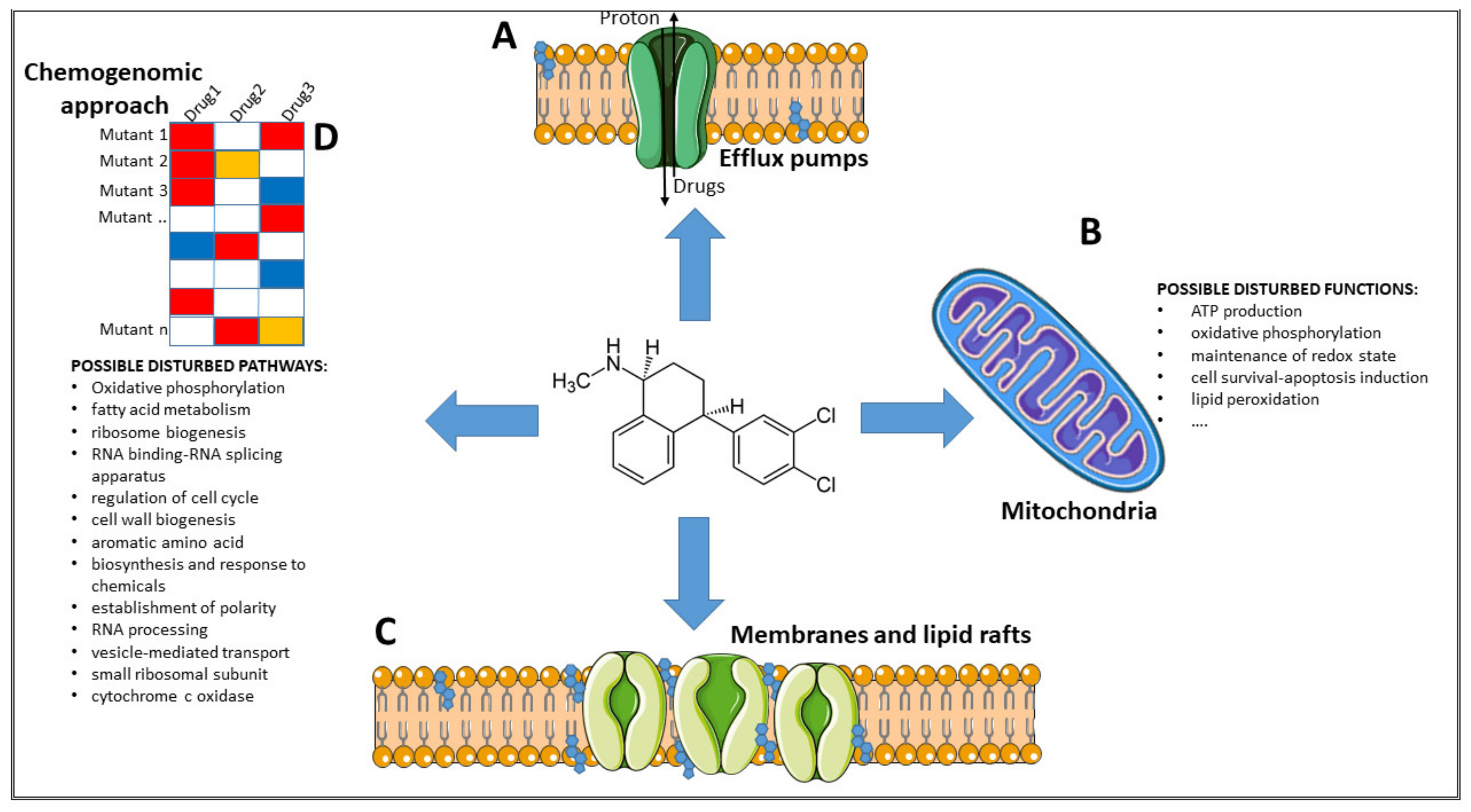 Pharmaceuticals 14 00915 g001 550
