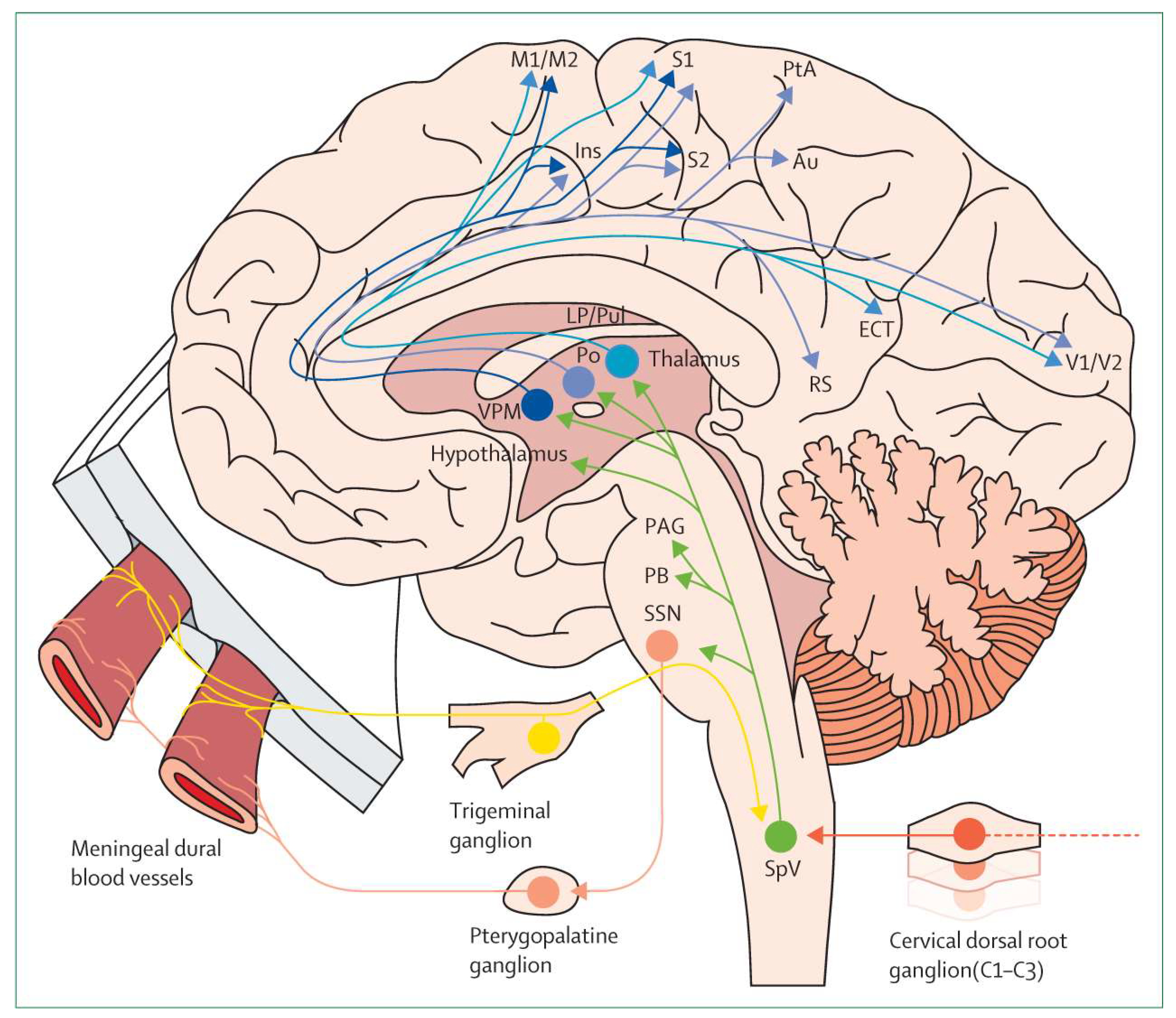 Pharmaceuticals 14 00924 g001 550