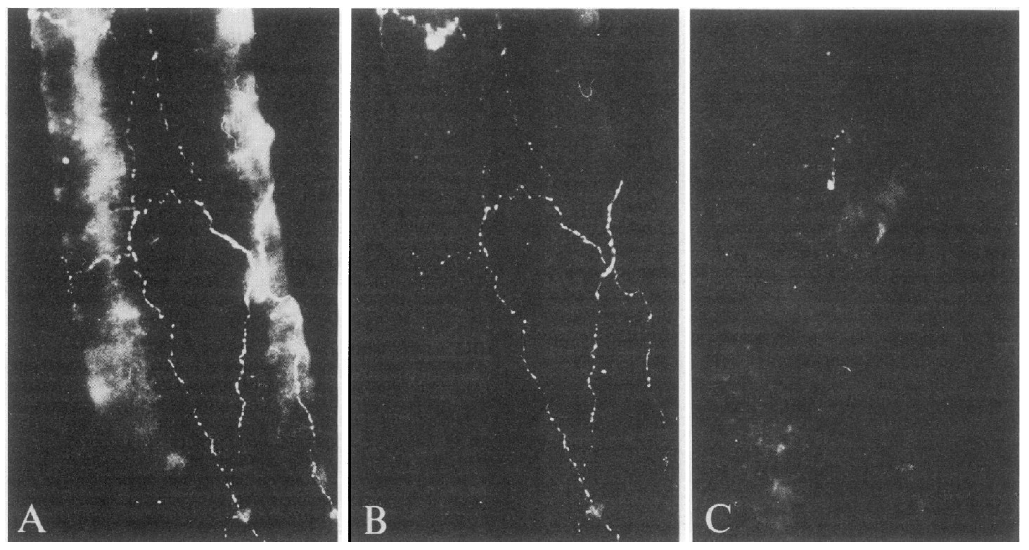 Pharmaceuticals 14 00924 g002 550