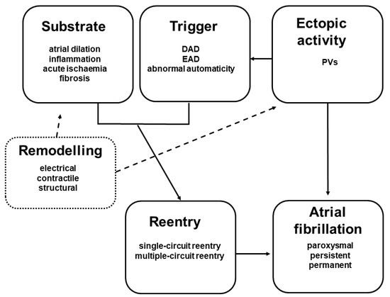 Pharmaceuticals Free Full Text New Strategies For The Treatment Of Atrial Fibrillation Html Pharmaceuticals Free Full Text New Strategies For The Treatment Of Atrial Fibrillation Html