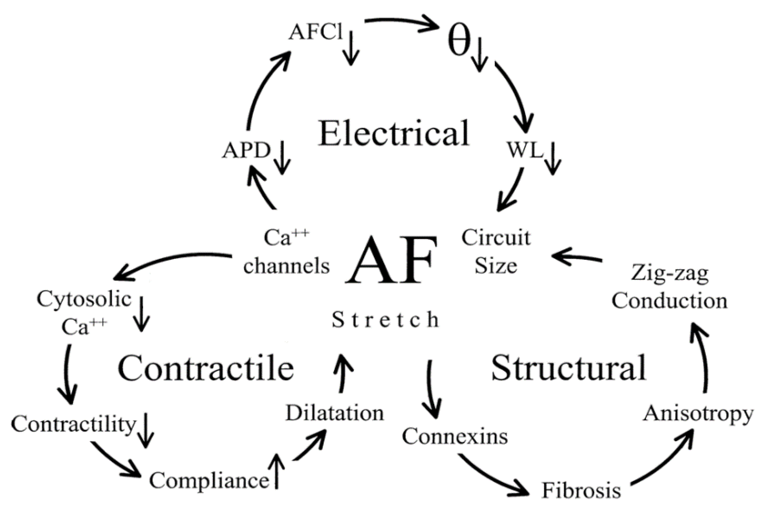 Pharmaceuticals 14 00926 g003