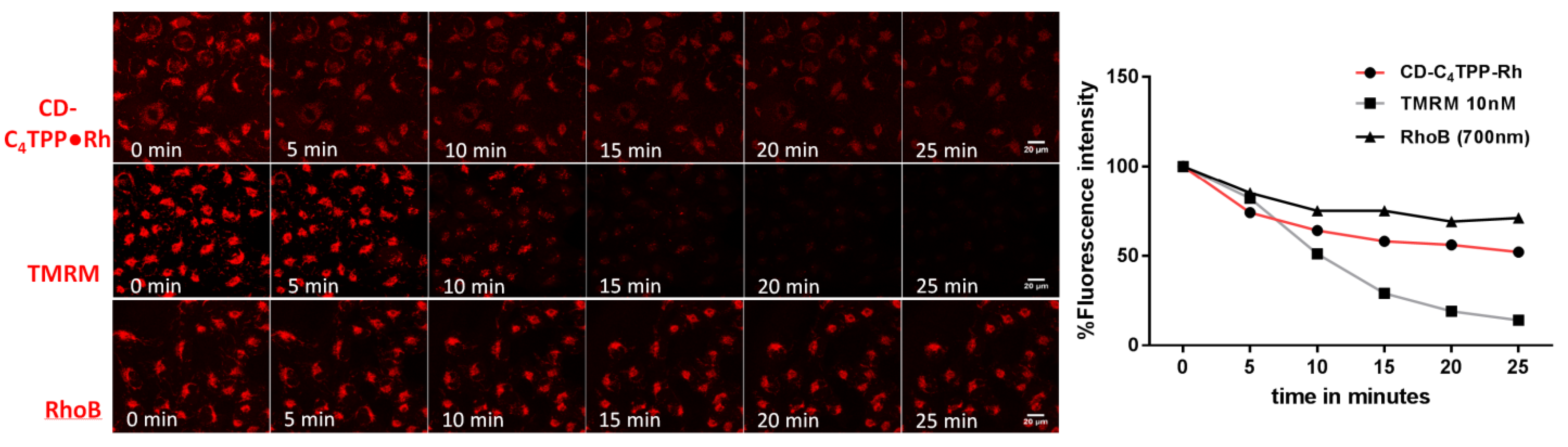 Pharmaceuticals 14 00932 g006